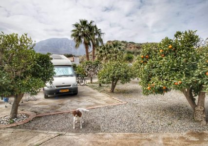 Tijdens de coronacrisis met de camper op een sinaasappelboerderij in Spanje