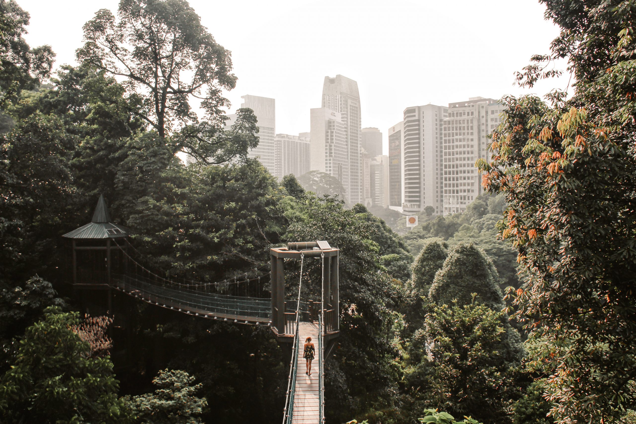Eco Forest | Kuala Lumpur City Guide