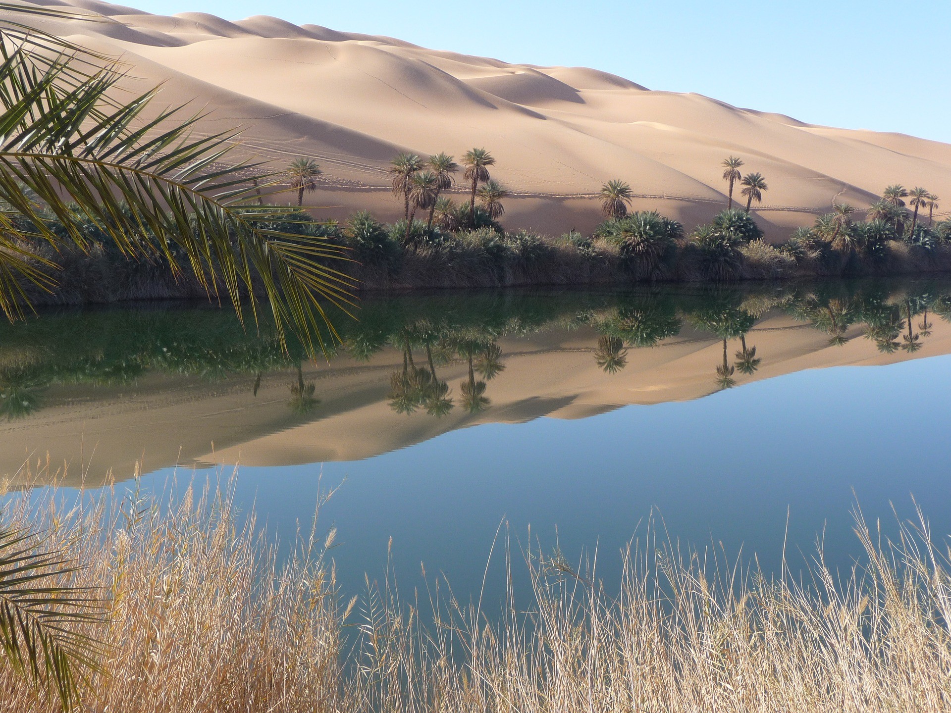 Un'oasi in Libia
