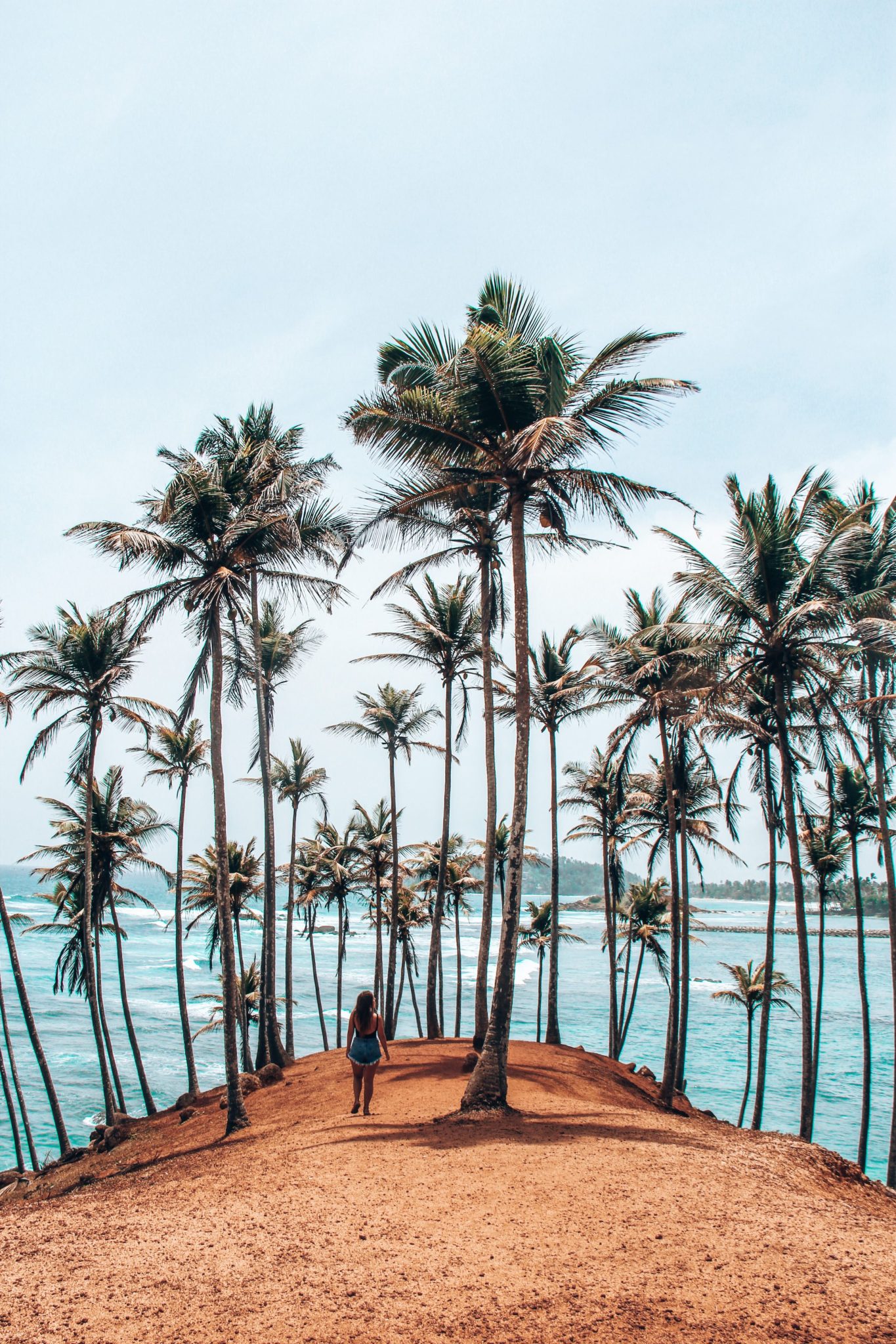 Colline des cocotiers, Sri Lanka