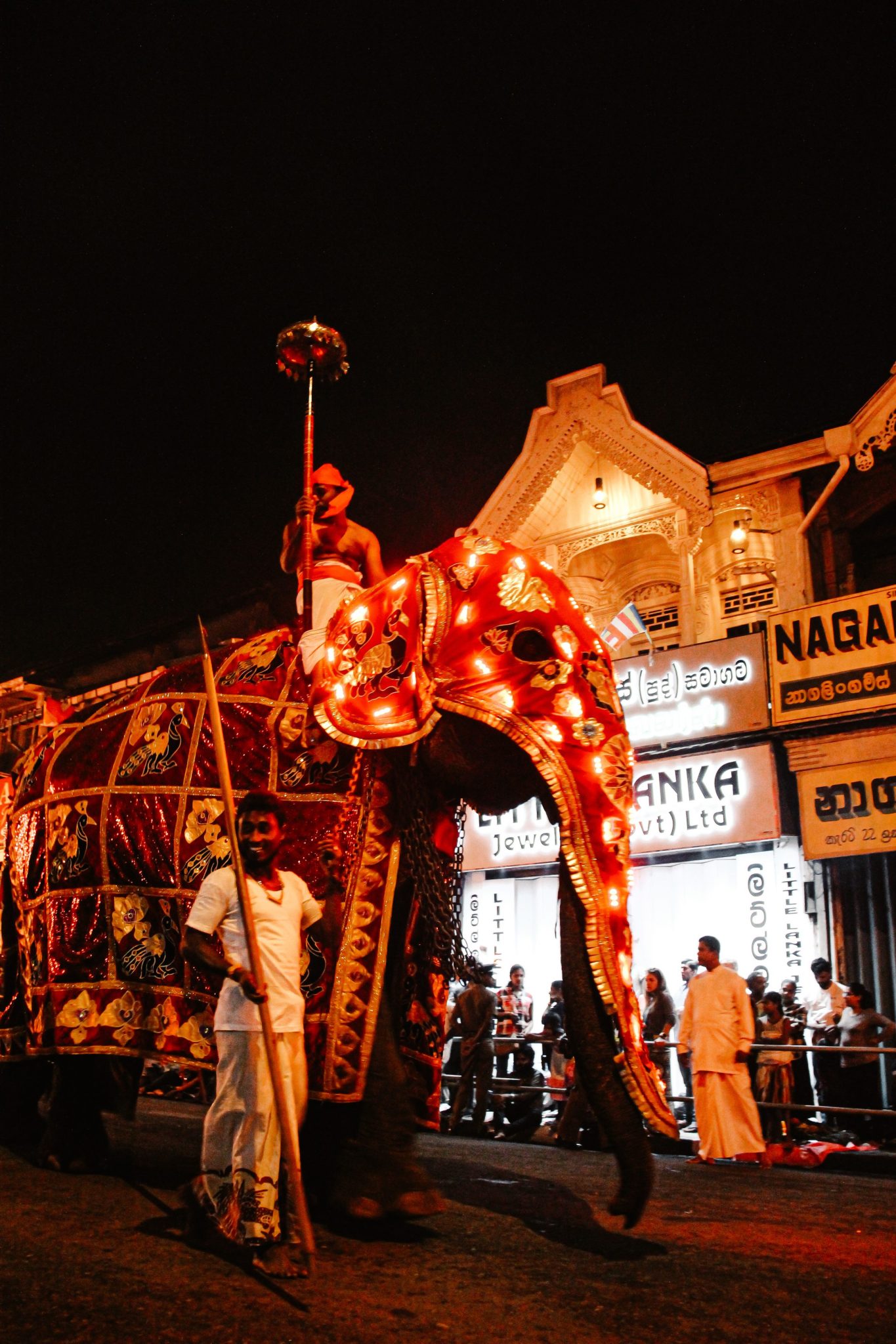 Esala Perahera-Fest