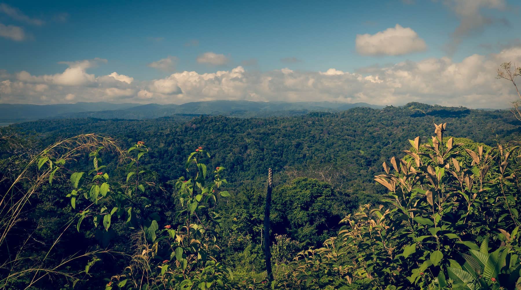 Nationale parken in Costa Rica: Piedras Blancas