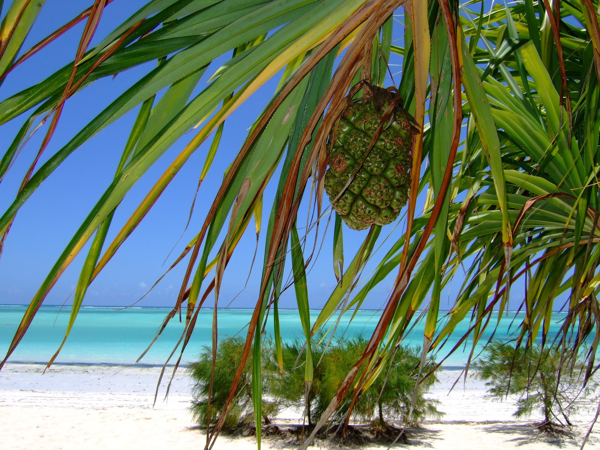 Zanzibar, Tanzanija