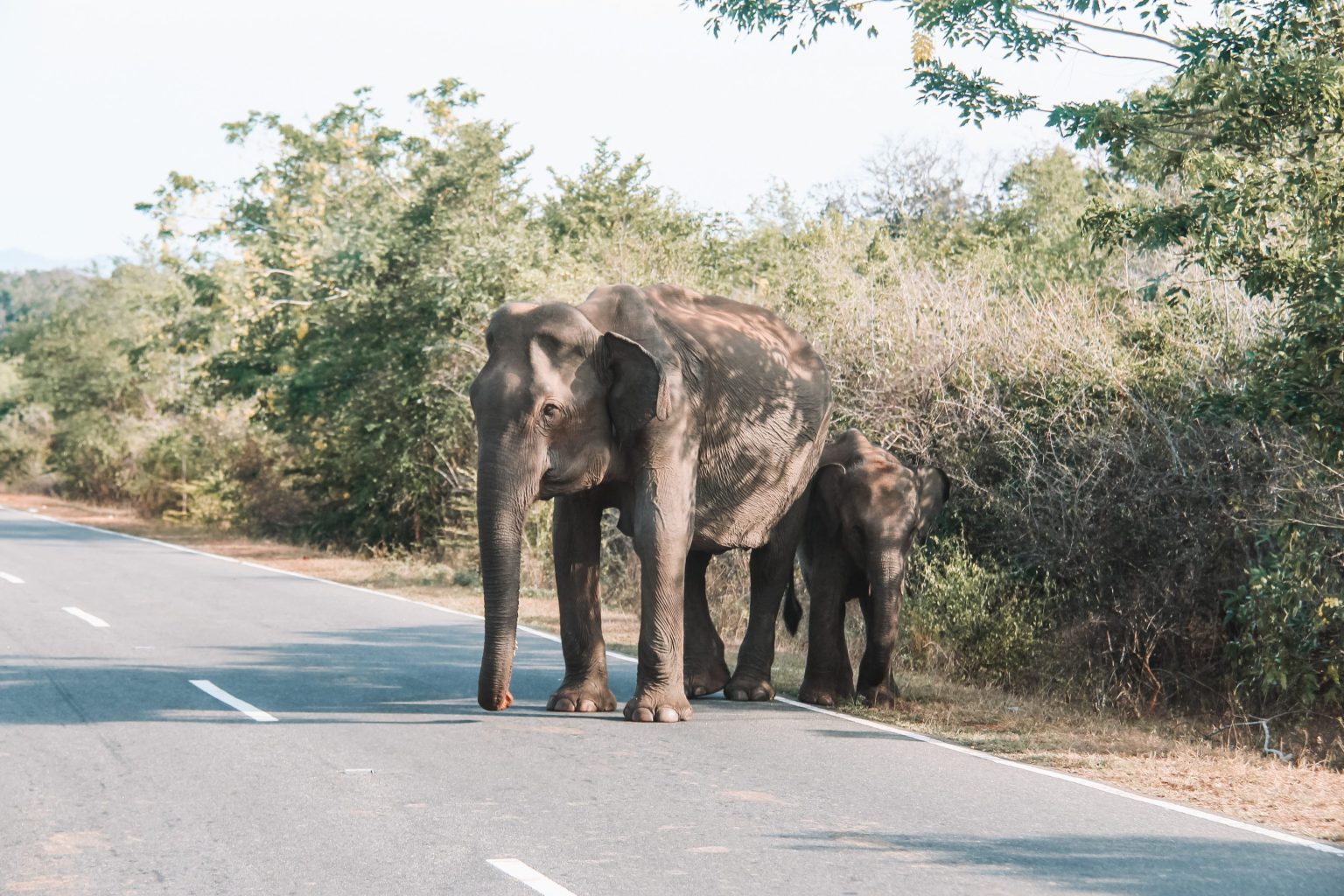 Baia di Arugam Sri Lanka