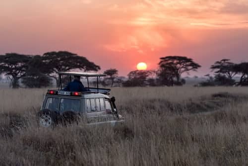 Serengeti Nasionale Park