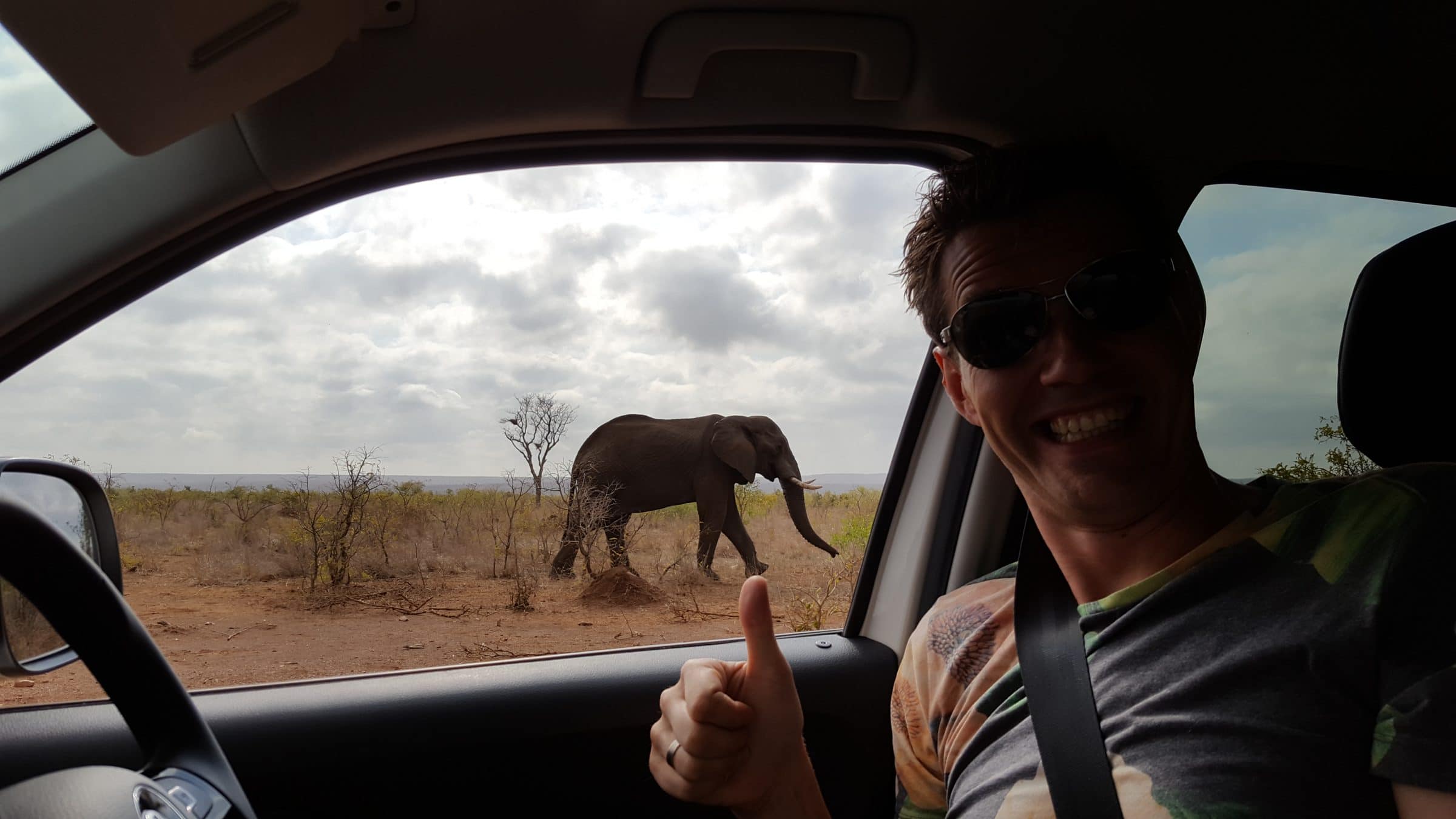 Elefante della savana nel Parco Kruger