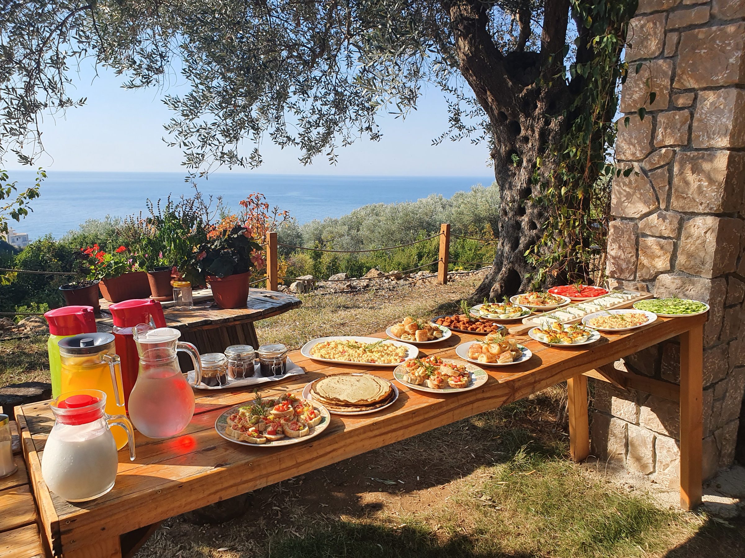 Holiday Park Olive Tree | Peaks of the Balkans Trail