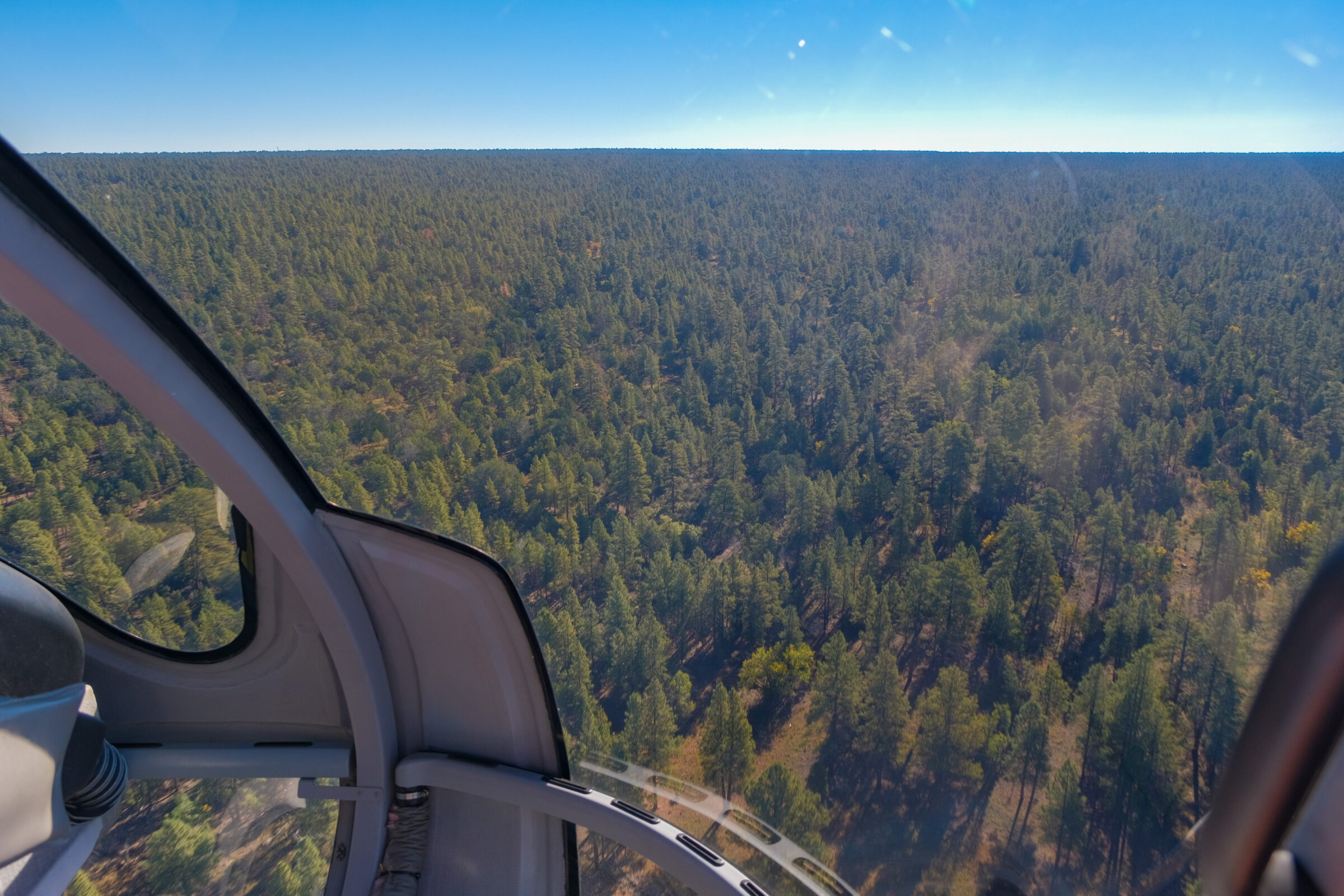 Het bos van Grand Canyon National Park gezien vanuit de helikopter