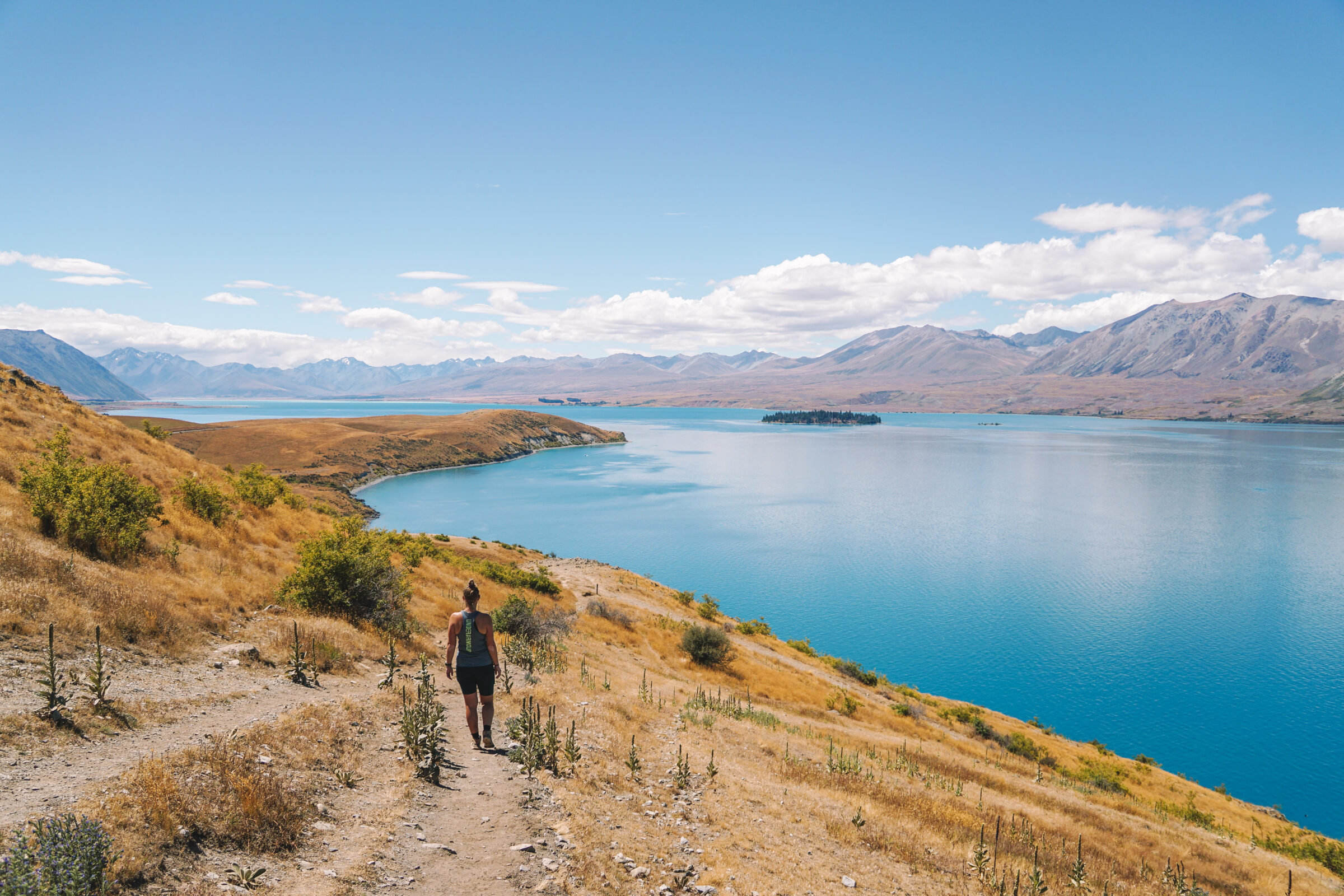 Vista del lago Tekapo durante el monte. Pista del circuito John Summit | Senderismo en el lago Tekapo y el monte Cook