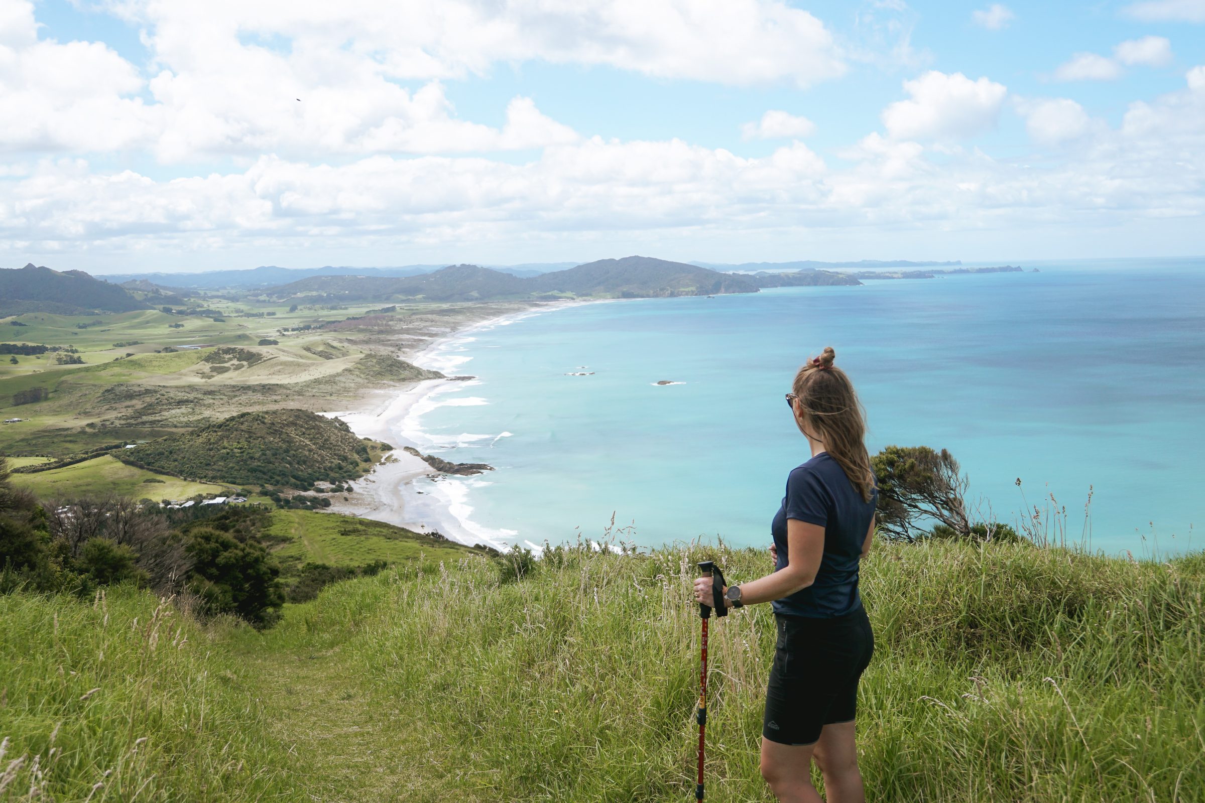 Ocean Beach van bovenaf | Reisinformatie Nieuw-Zeeland