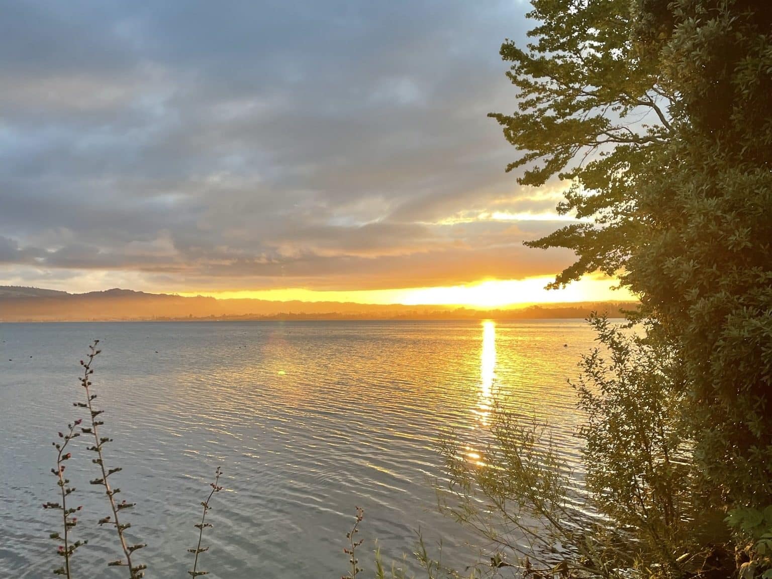 Ondergaande zon bij Lake Rotorua | Gratis kamperen in Nieuw-Zeeland 