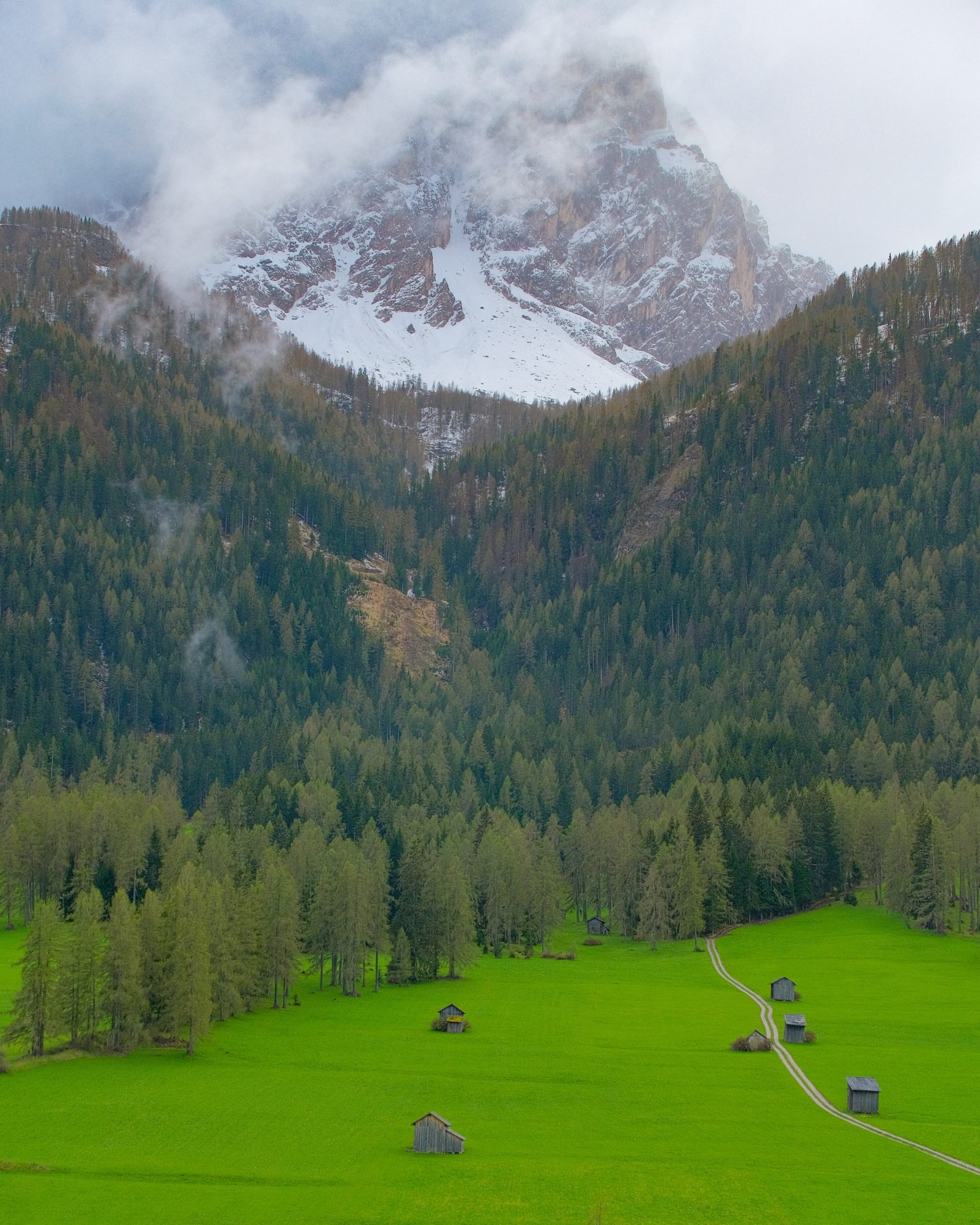 Groene wei en witte bergtoppen | Zuid-Tirol