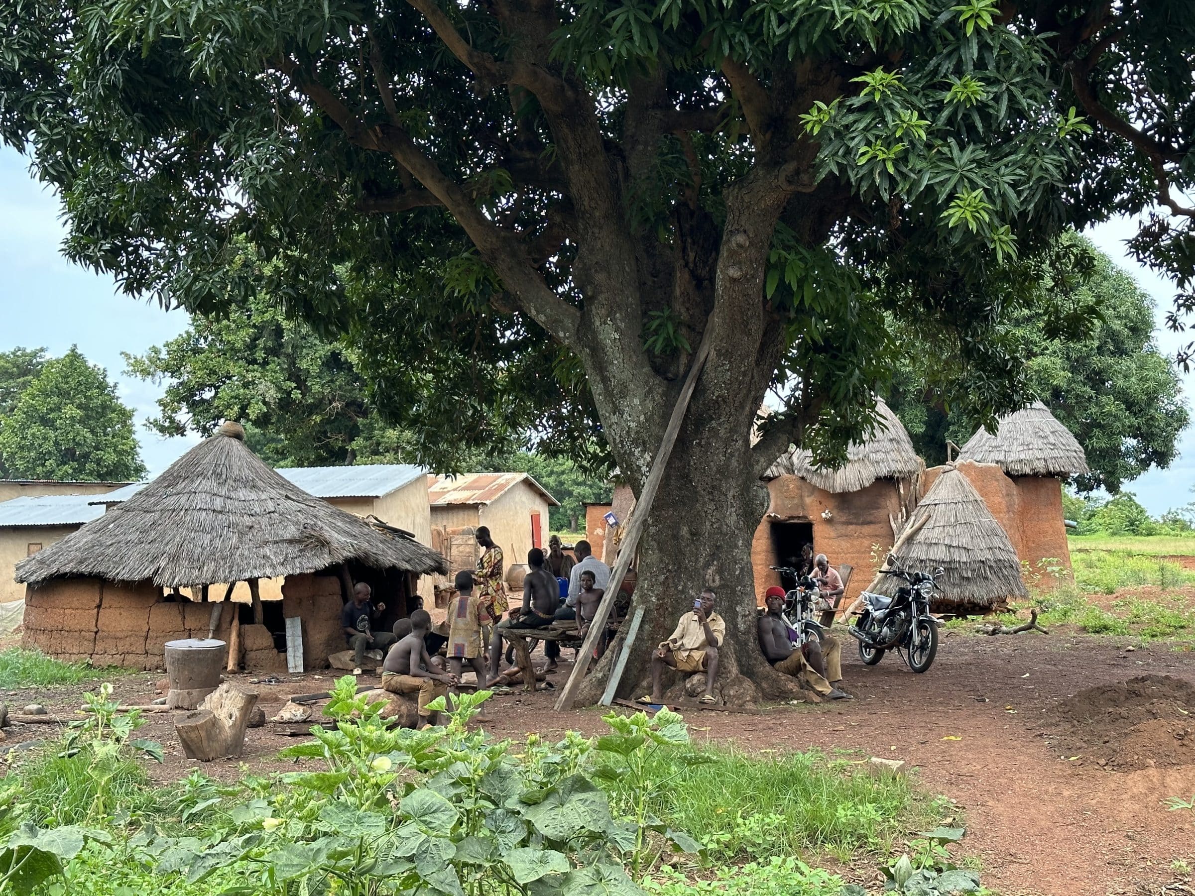 Chillen onder een boom | Overlanden in Benin