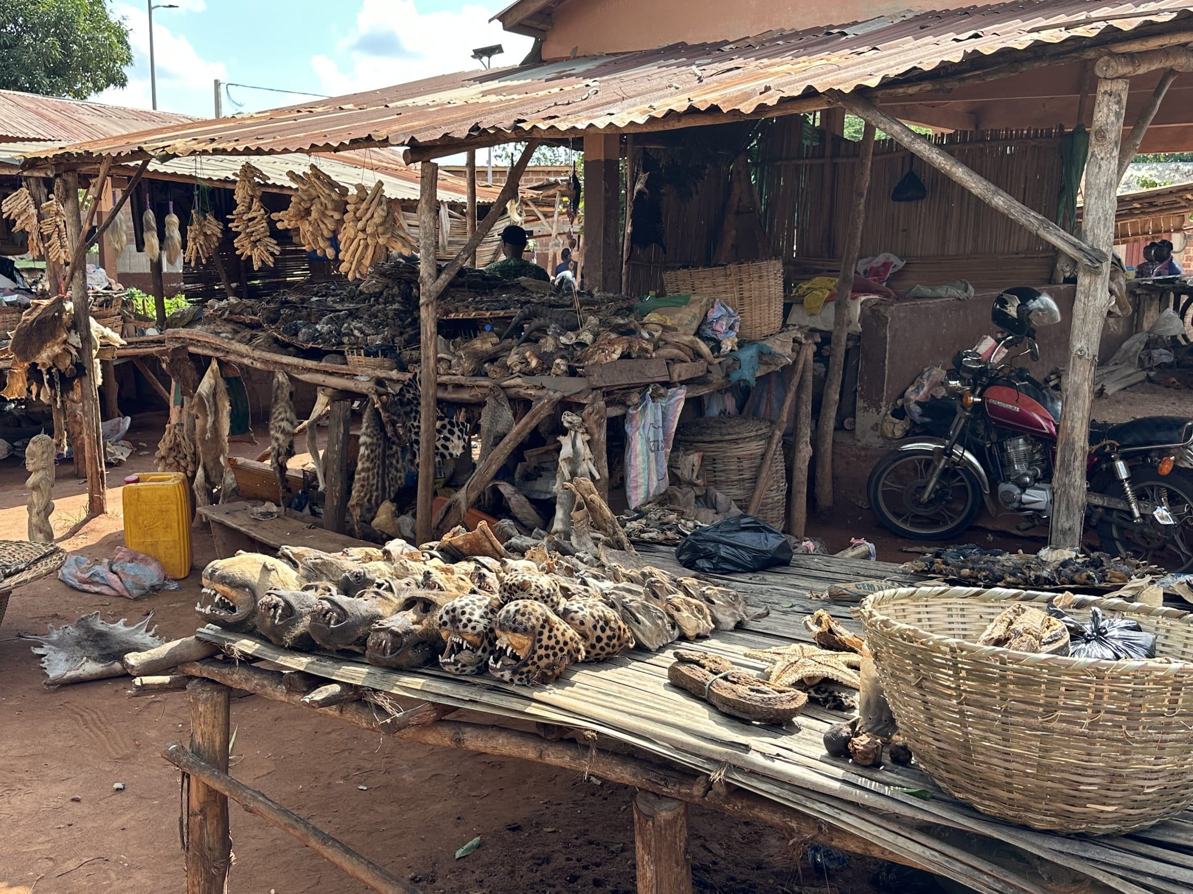 Fetisch markt | Overlanden in Benin
