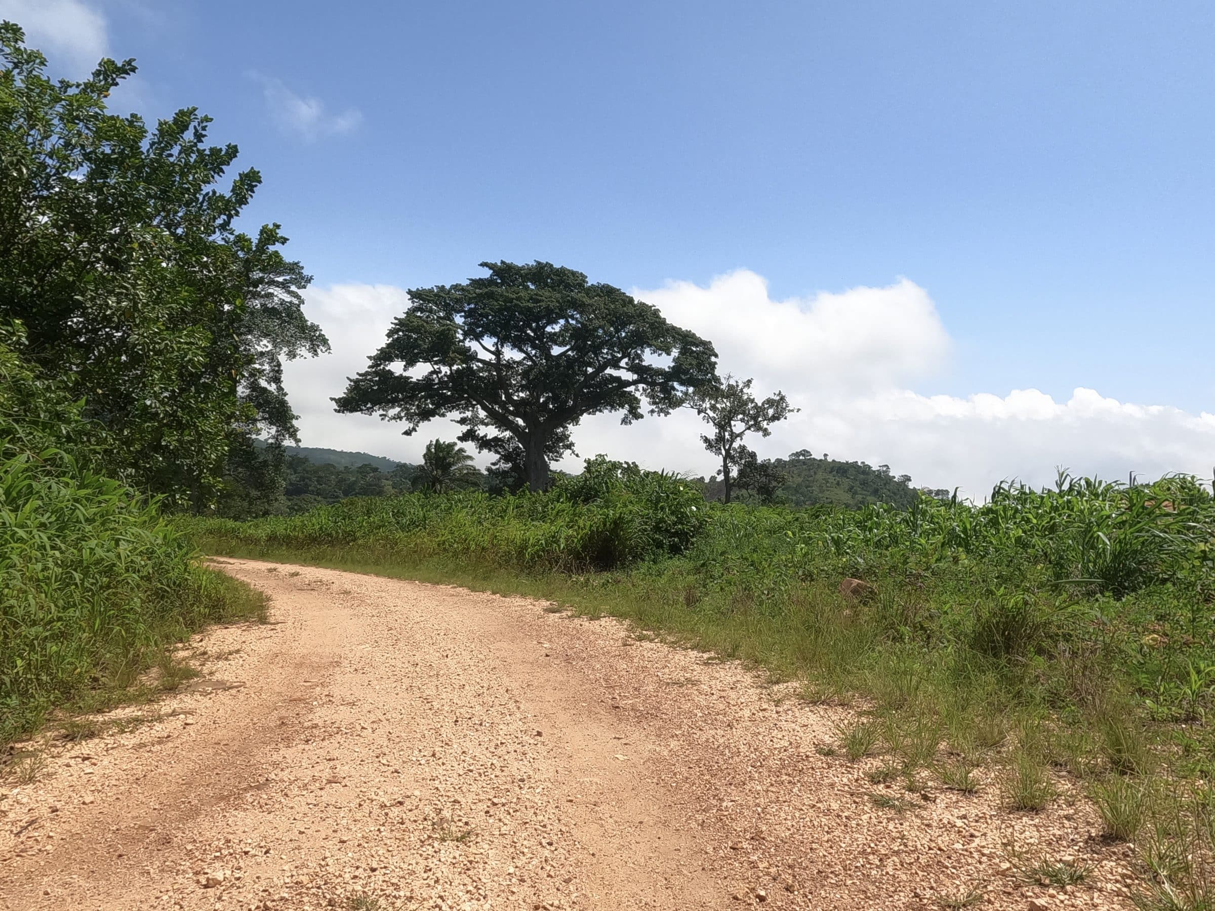 Onderweg in Togo | Overlanden in Togo