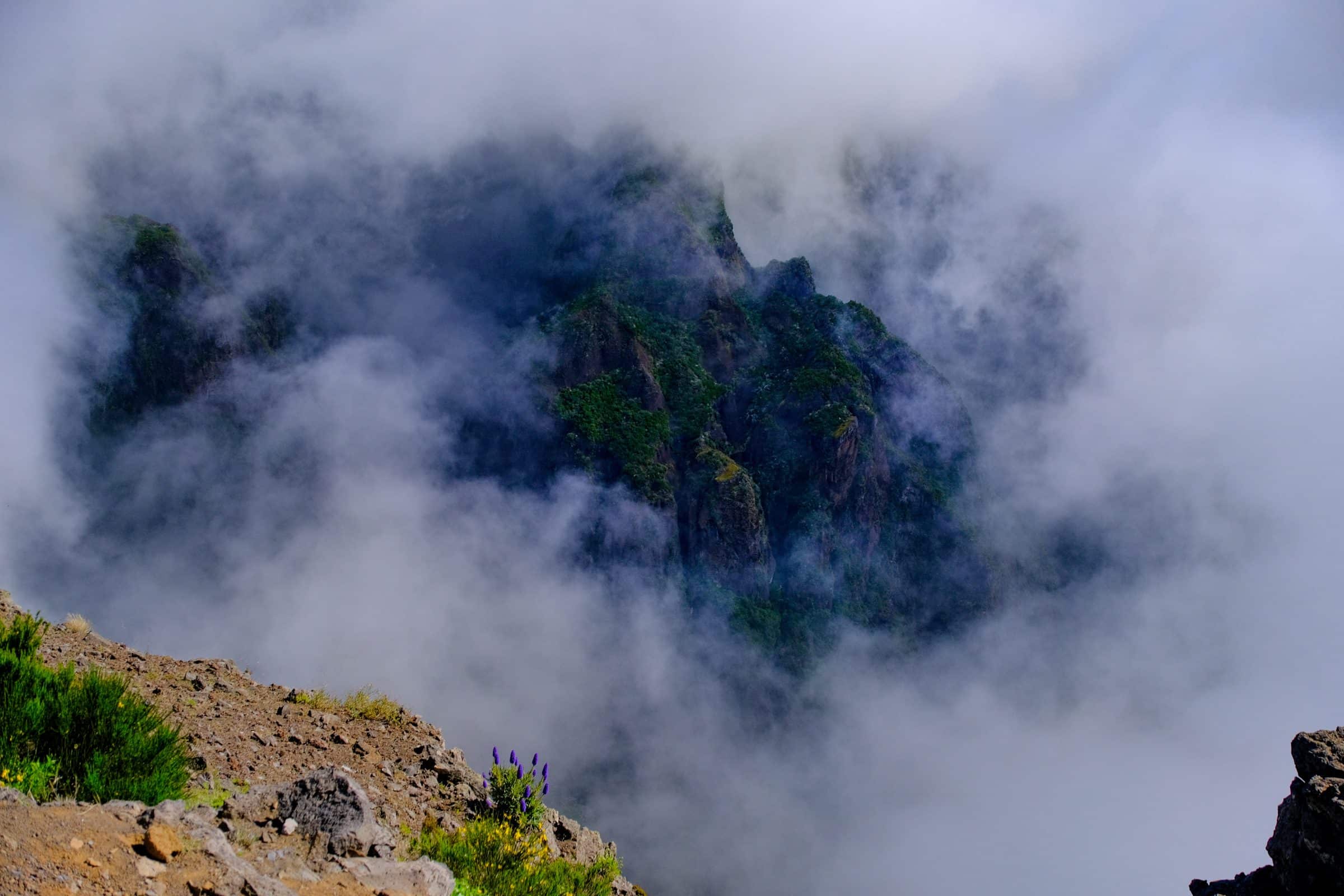 Hoog in de bergen, tussen de wolken | Madeira