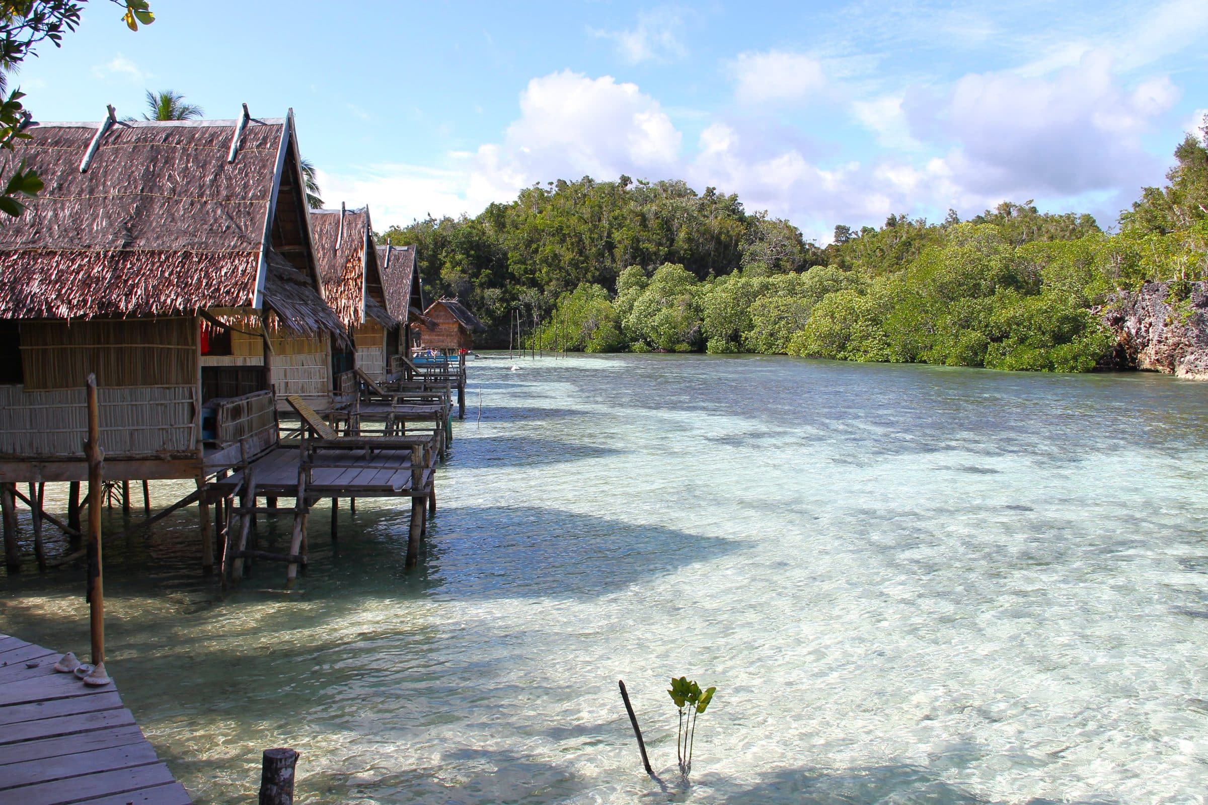 De Raja Ampat eilanden | Indonesië
