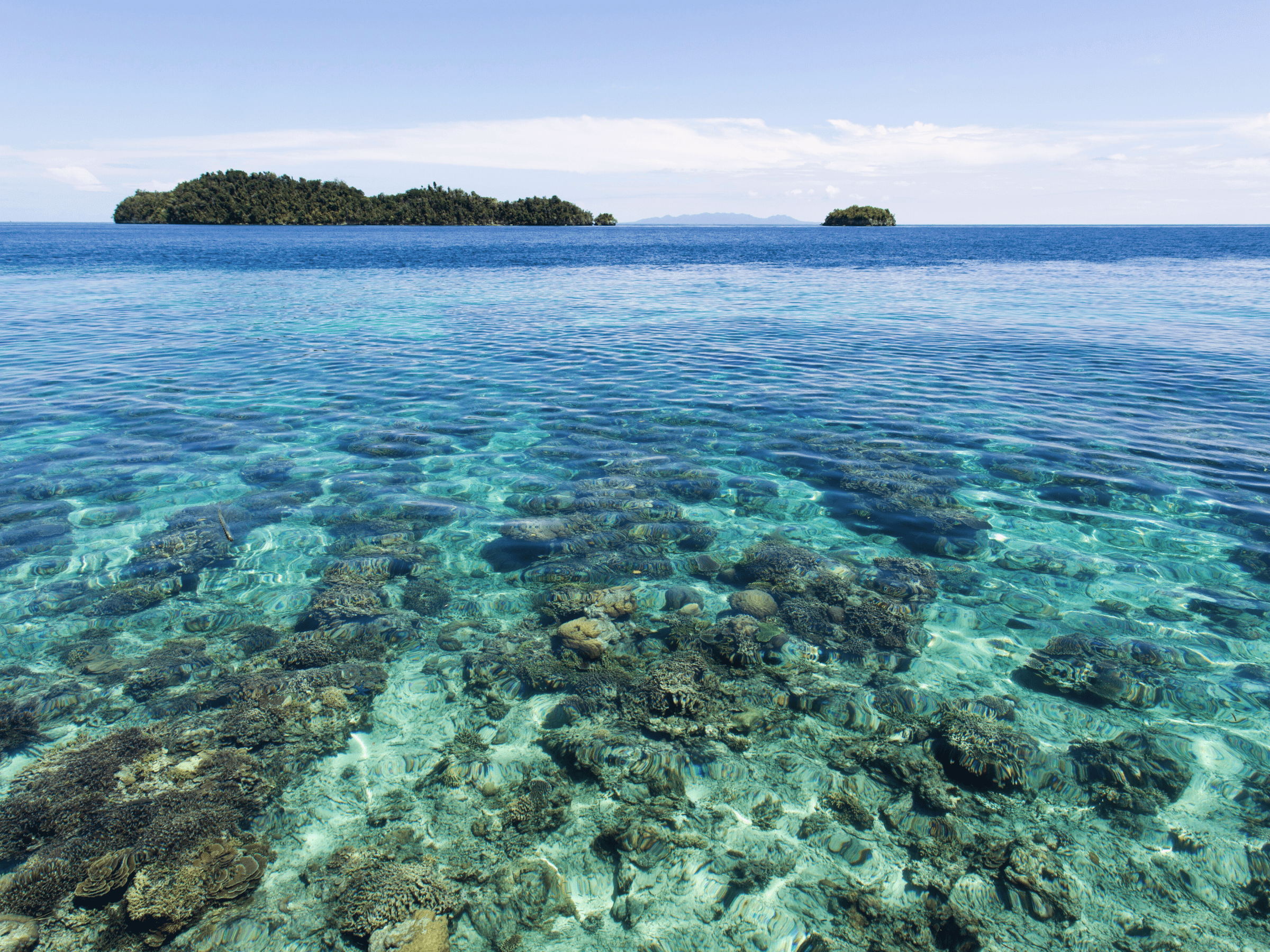 De Togian eilanden | Indonesië