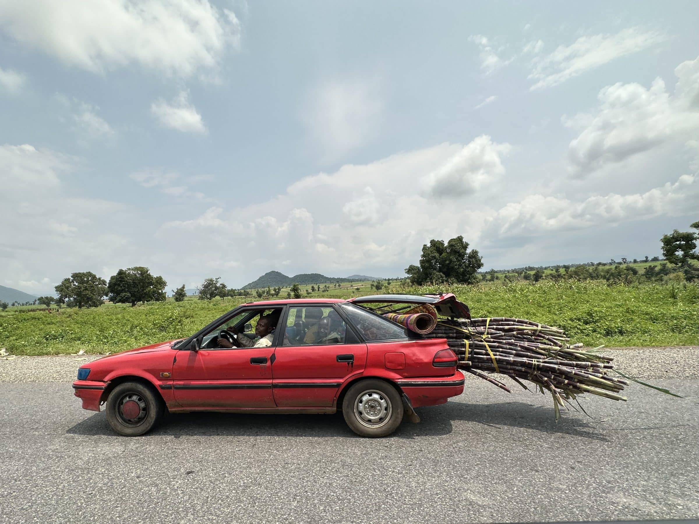Transporting sugar cane