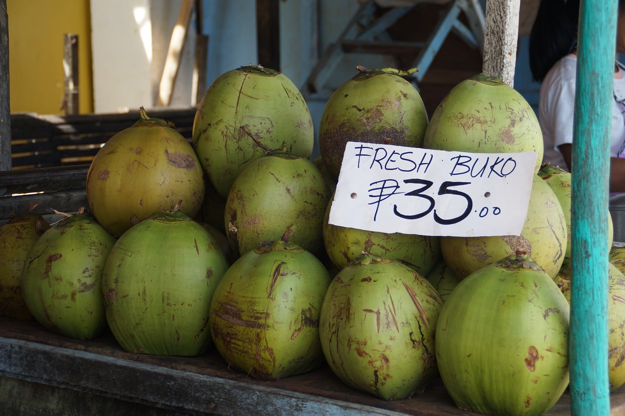 Kokosnoten zijn overal | De Filipijnen