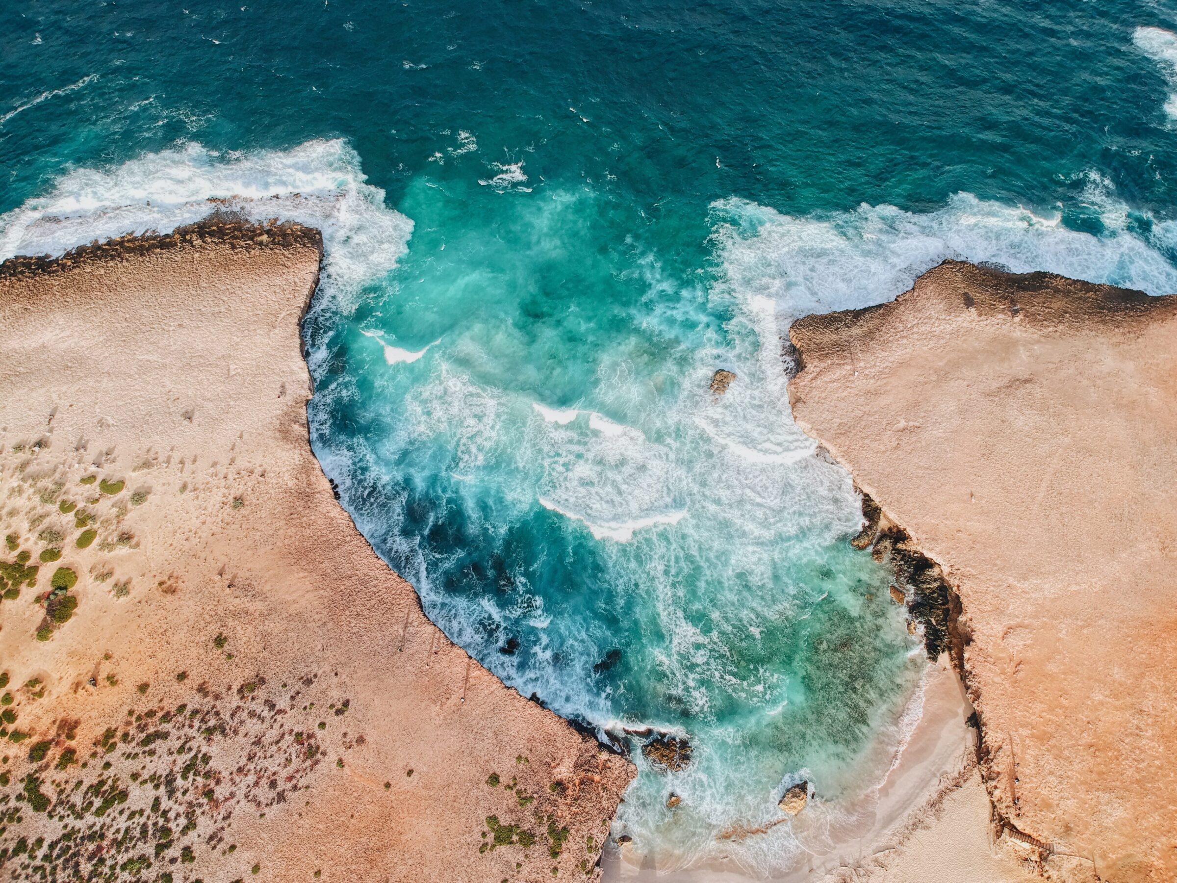 Mango Alto, Aruba