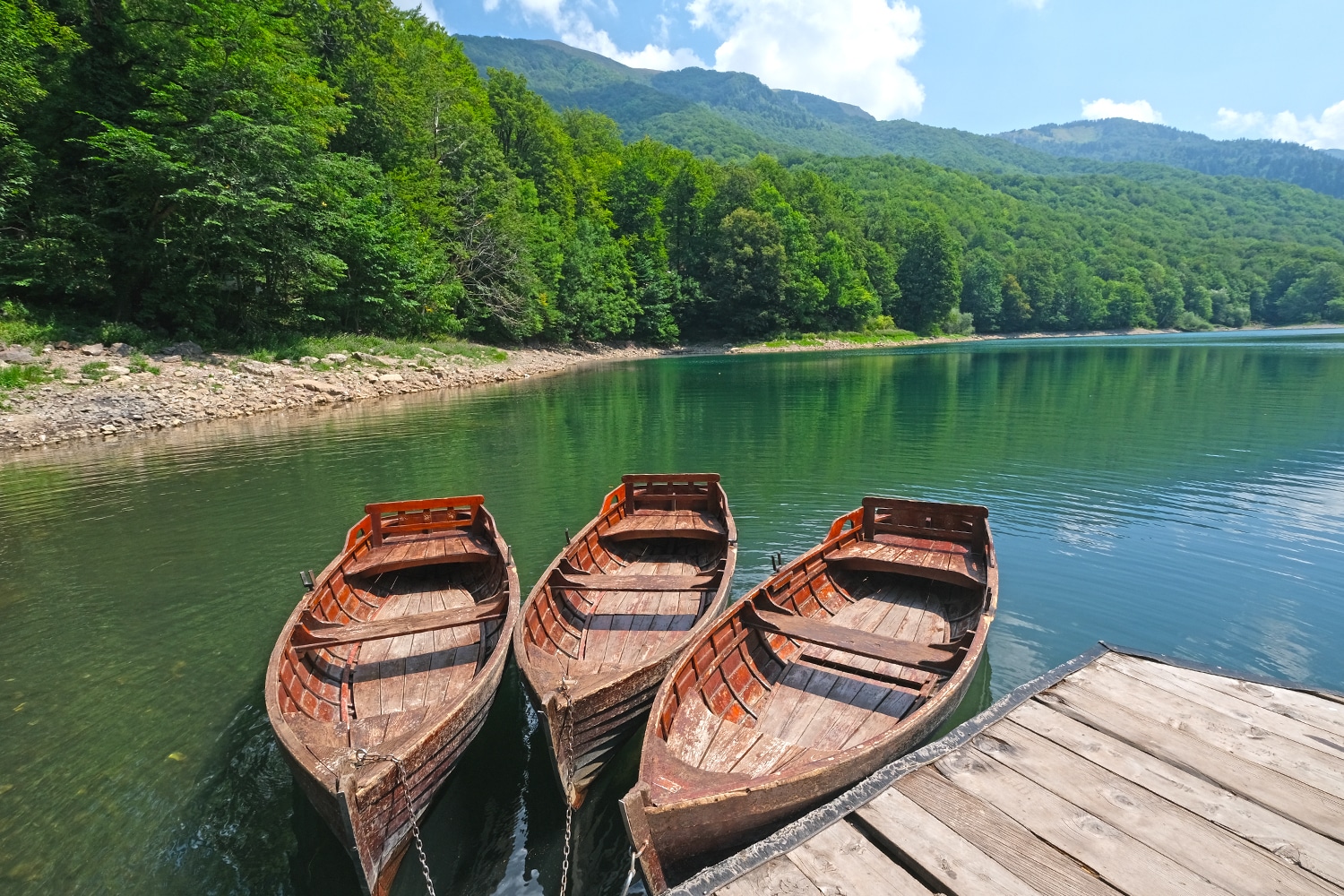 Biogradska Jezero | Montenegro
