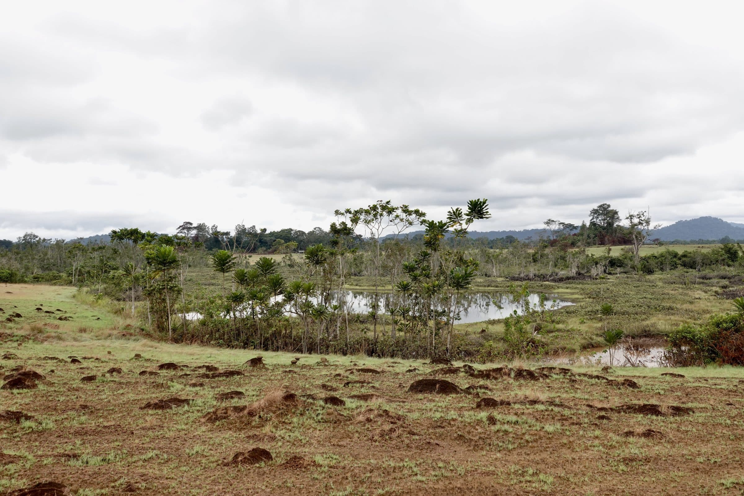 Natuur in Gabon | Overlanden in Gabon