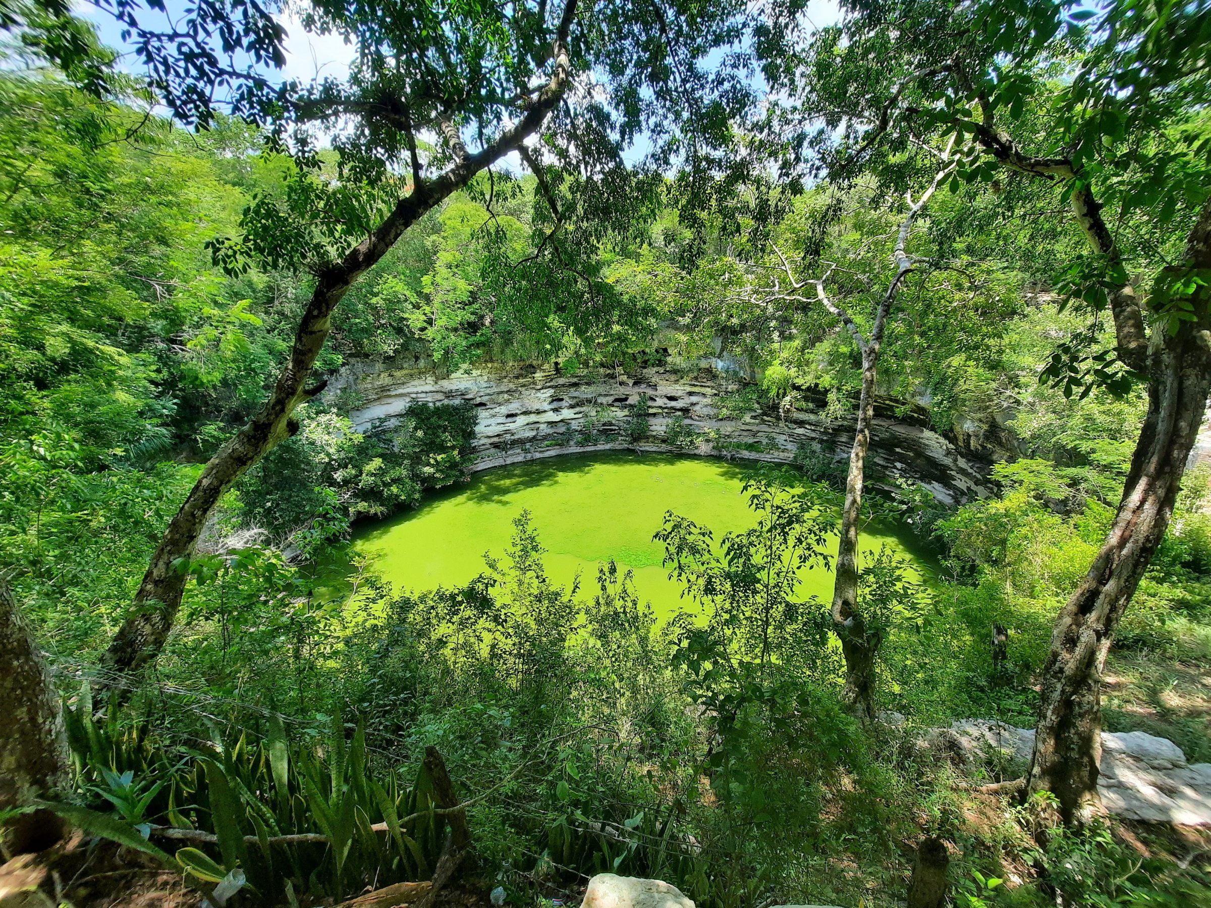 "The Sacred Cenote", waar vele mensenlevens geofferd werden.