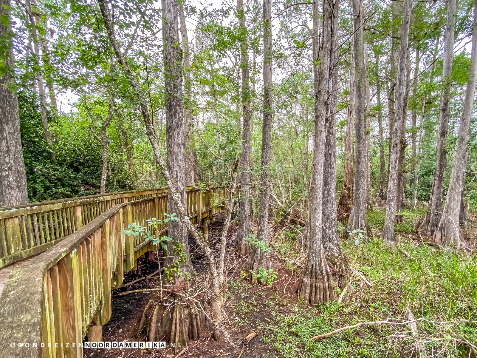 Maak een heerlijk wandeling over de Kirby Storter Boardwalk