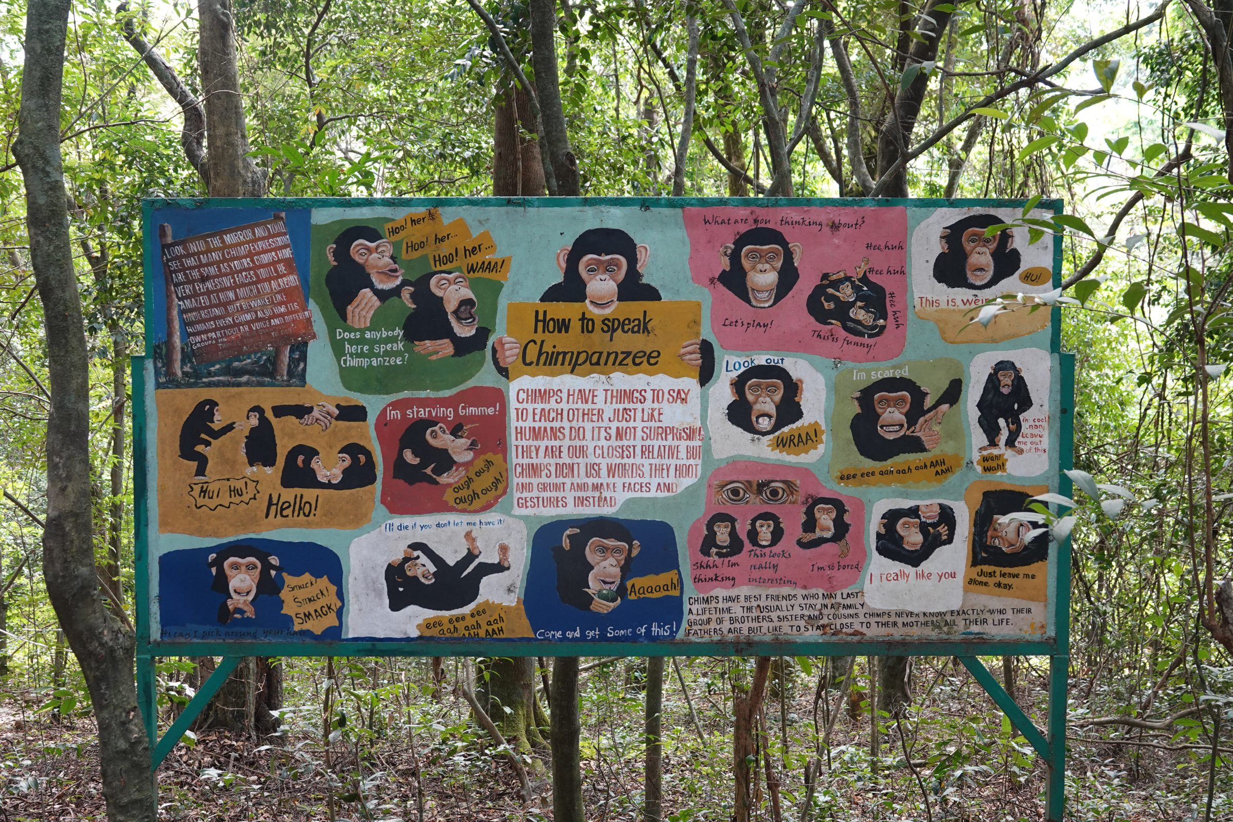 Apentaal | Tacugama Chimpansee Sanctuary