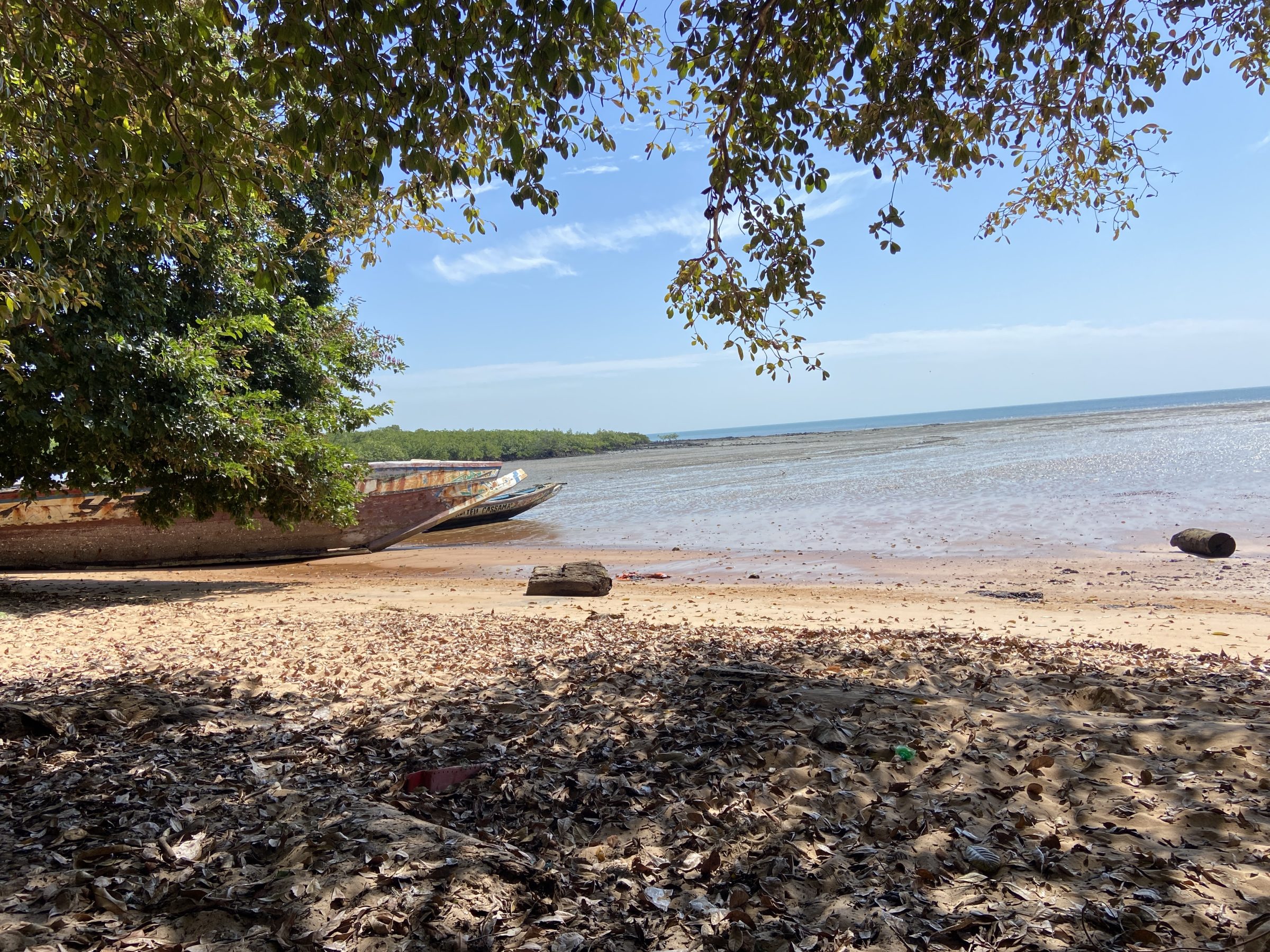 Bij laag water | Overlanden in Guinea Bissau