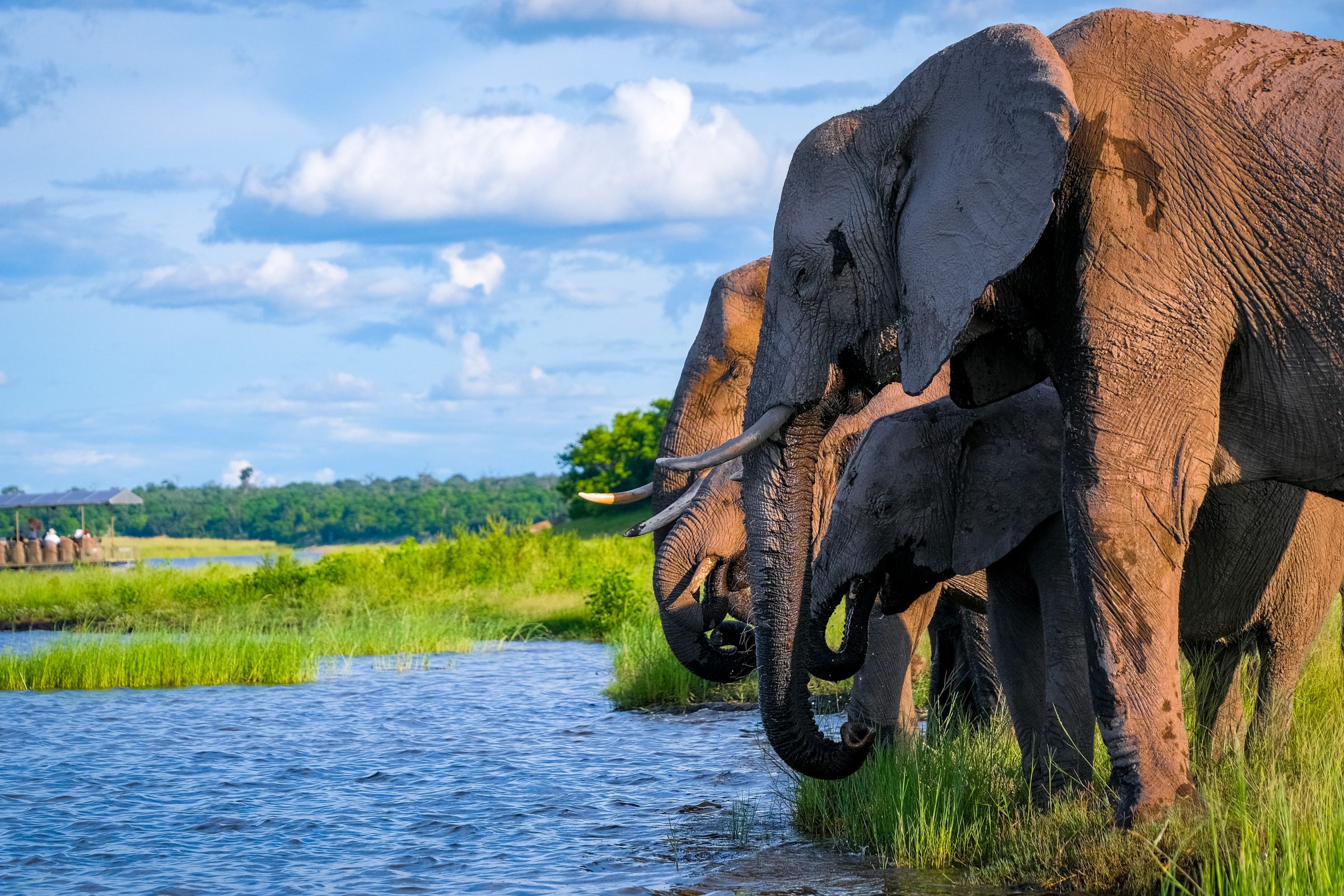 Sunset River Cruise | Tips voor Chobe National Park