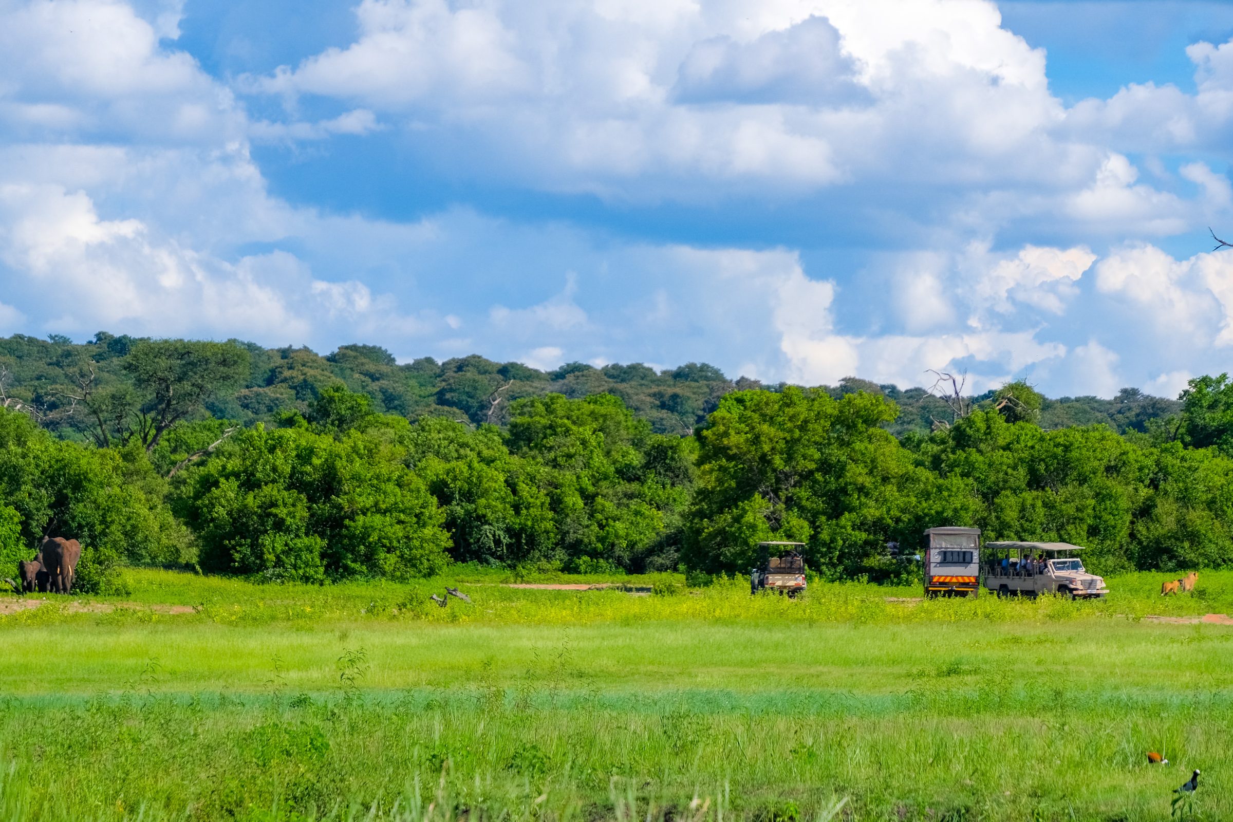 Olifanten links, safari Jeeps en leeuwen rechts. | Tips voor Chobe National Park