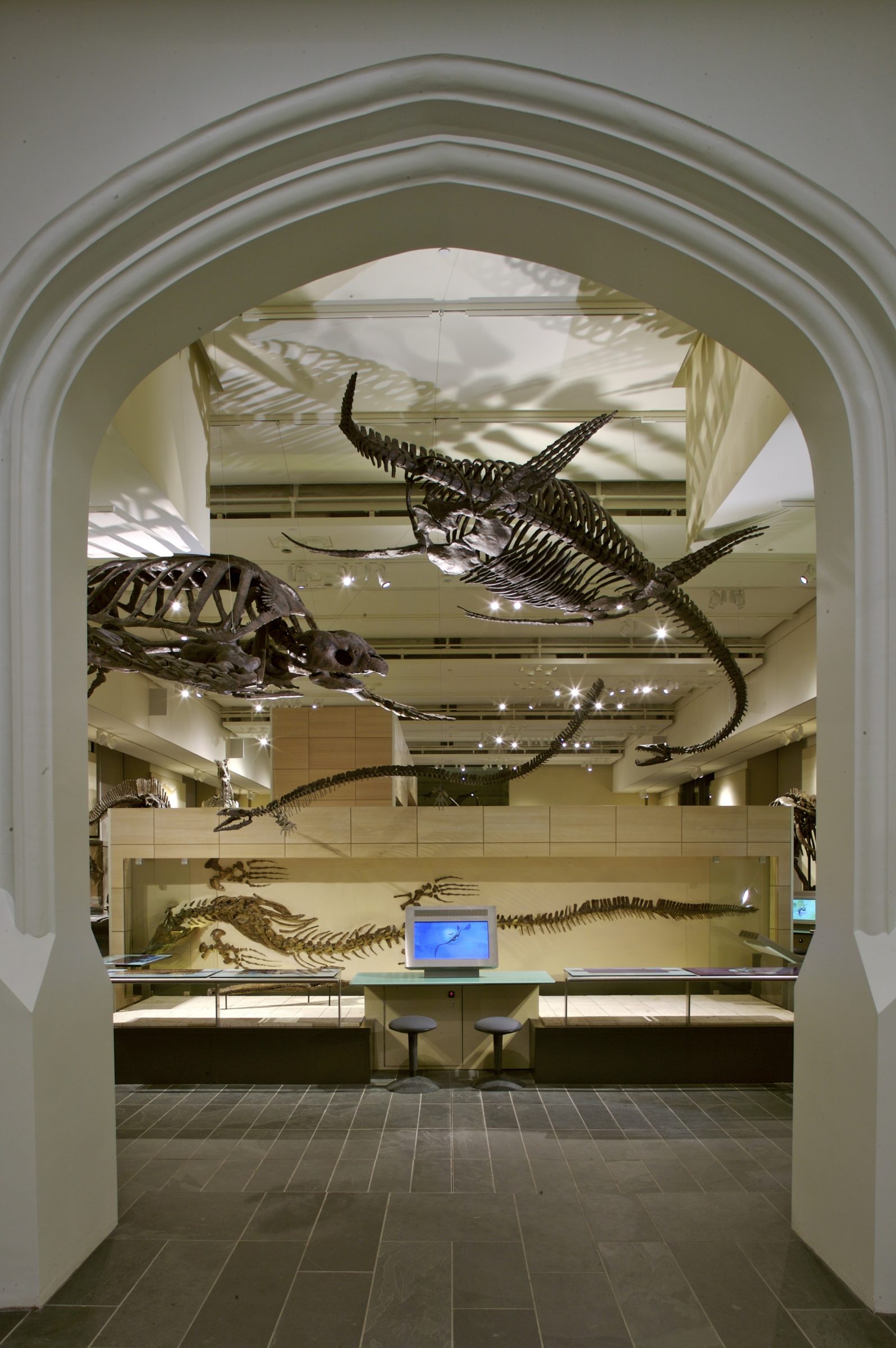 Canadian Museum of Nature, Fossil gallery