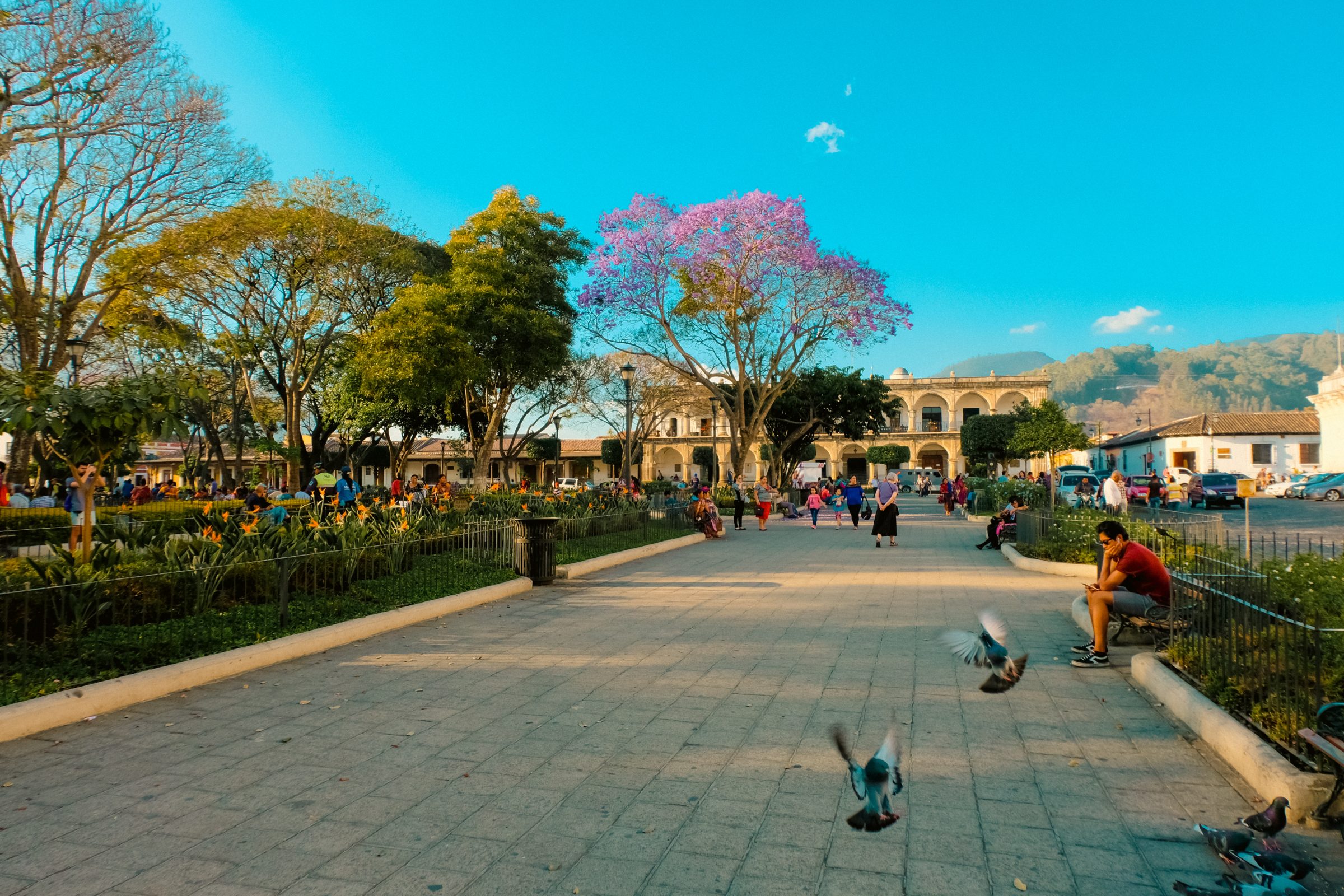 Het centrale park van Antigua