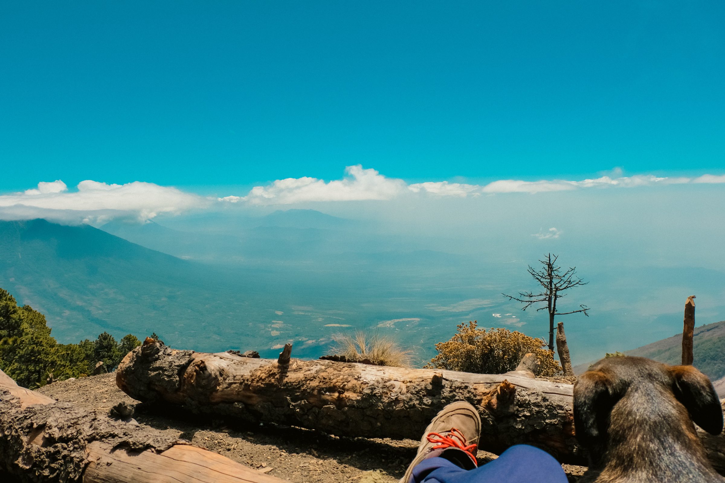 Uitzicht vanaf de Acatenango Vulkaan met een lieve zwerfhond die me de hele dag heeft gevolgd