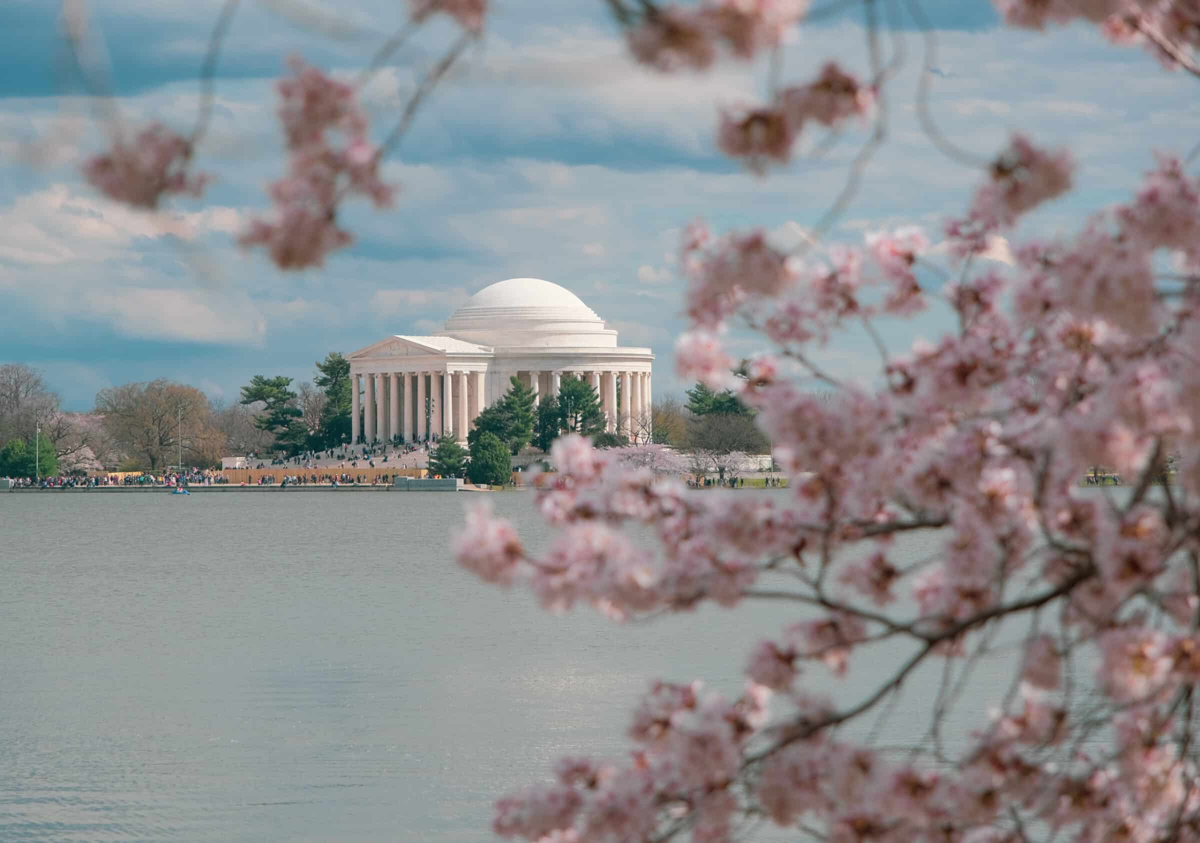 Thomas Jefferson Memorial in lontananza | Guida di viaggio di Washington DC