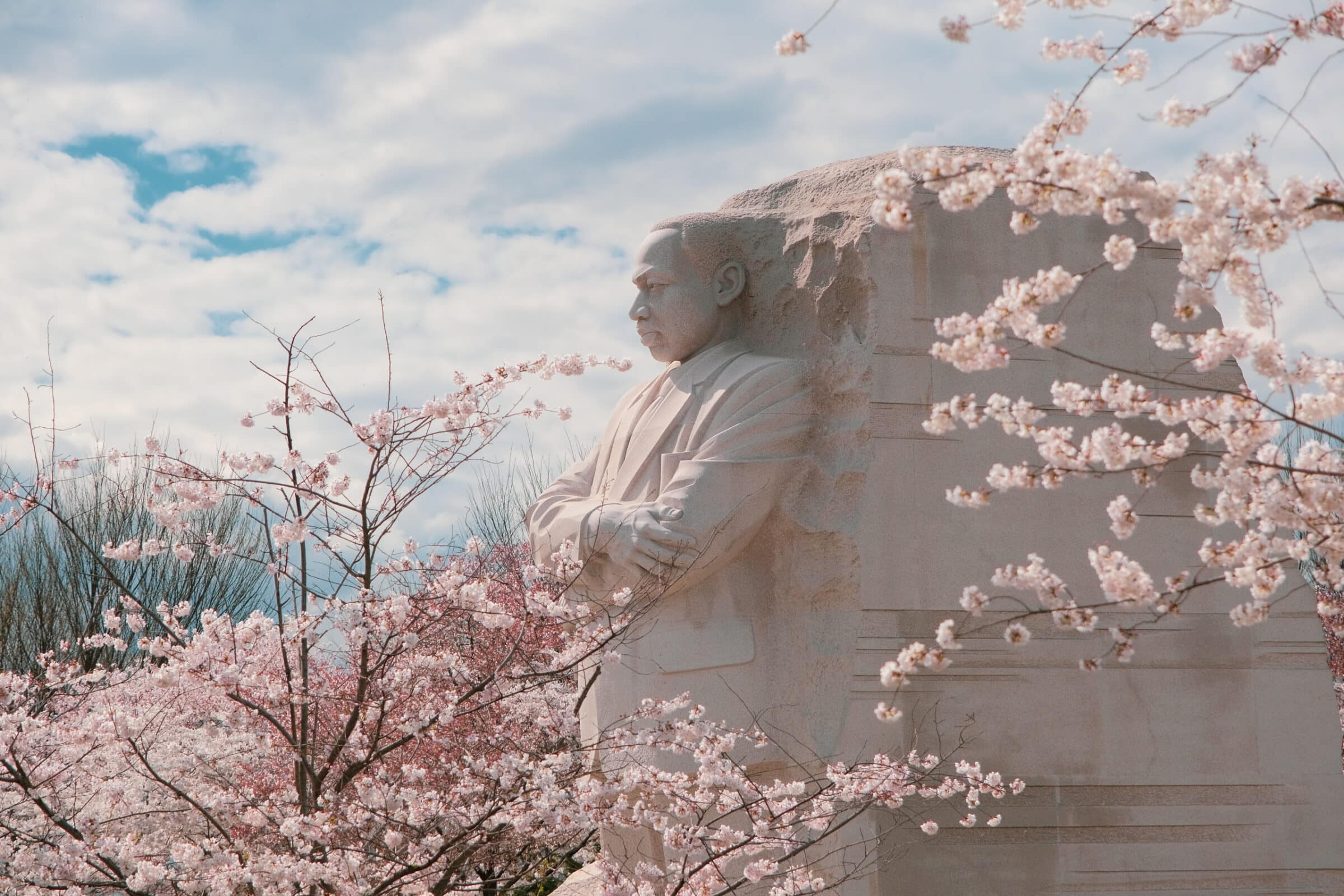 Martin Luther King, Jr. Memorial mooi zichtbaar tussen de bloesem | Reisgids Washington D.C.