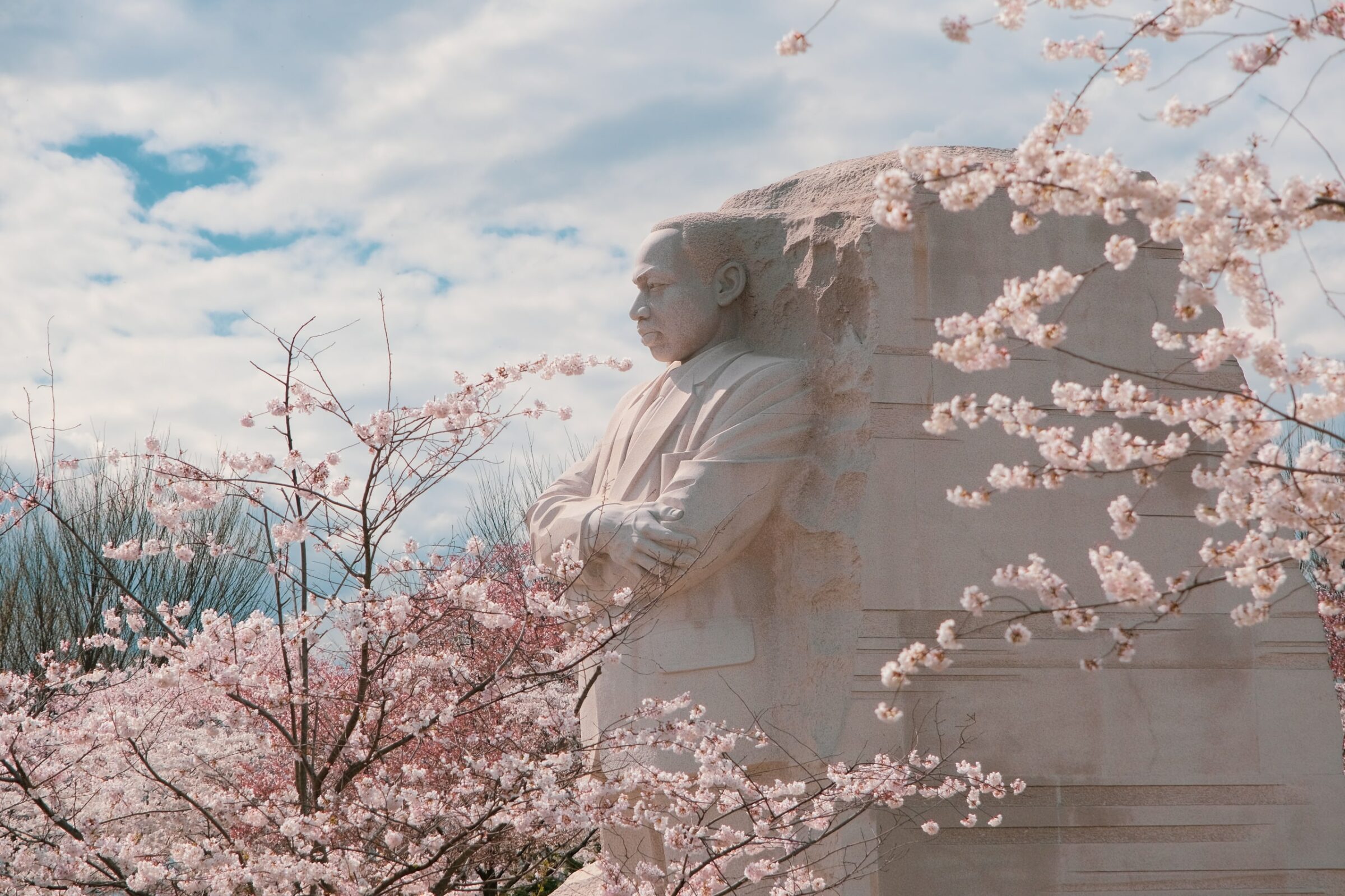 Martin Luther King, Jr. Memorial mooi zichtbaar tussen de bloesem | Washington D.C.