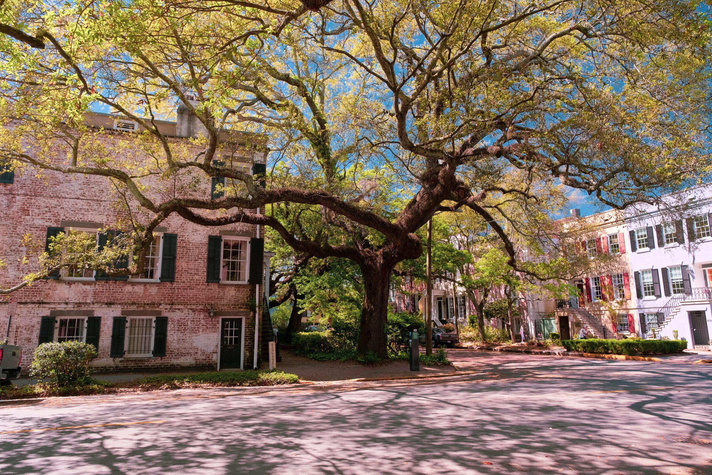 Prachtige, eeuwenoude bomen sieren hier de straten| Wat te doen + tips voor Savannah, Georgia