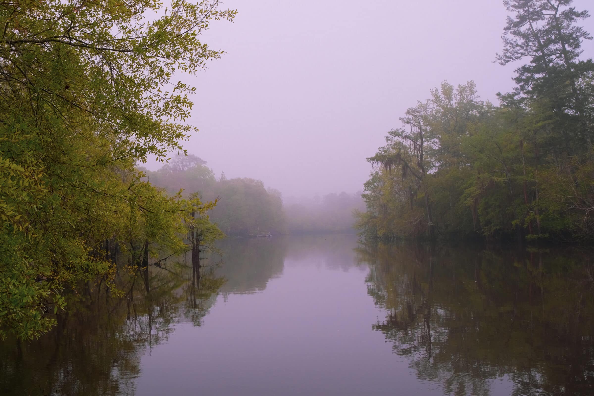 Een mistige ochtend | Barrington County Park - Georgia