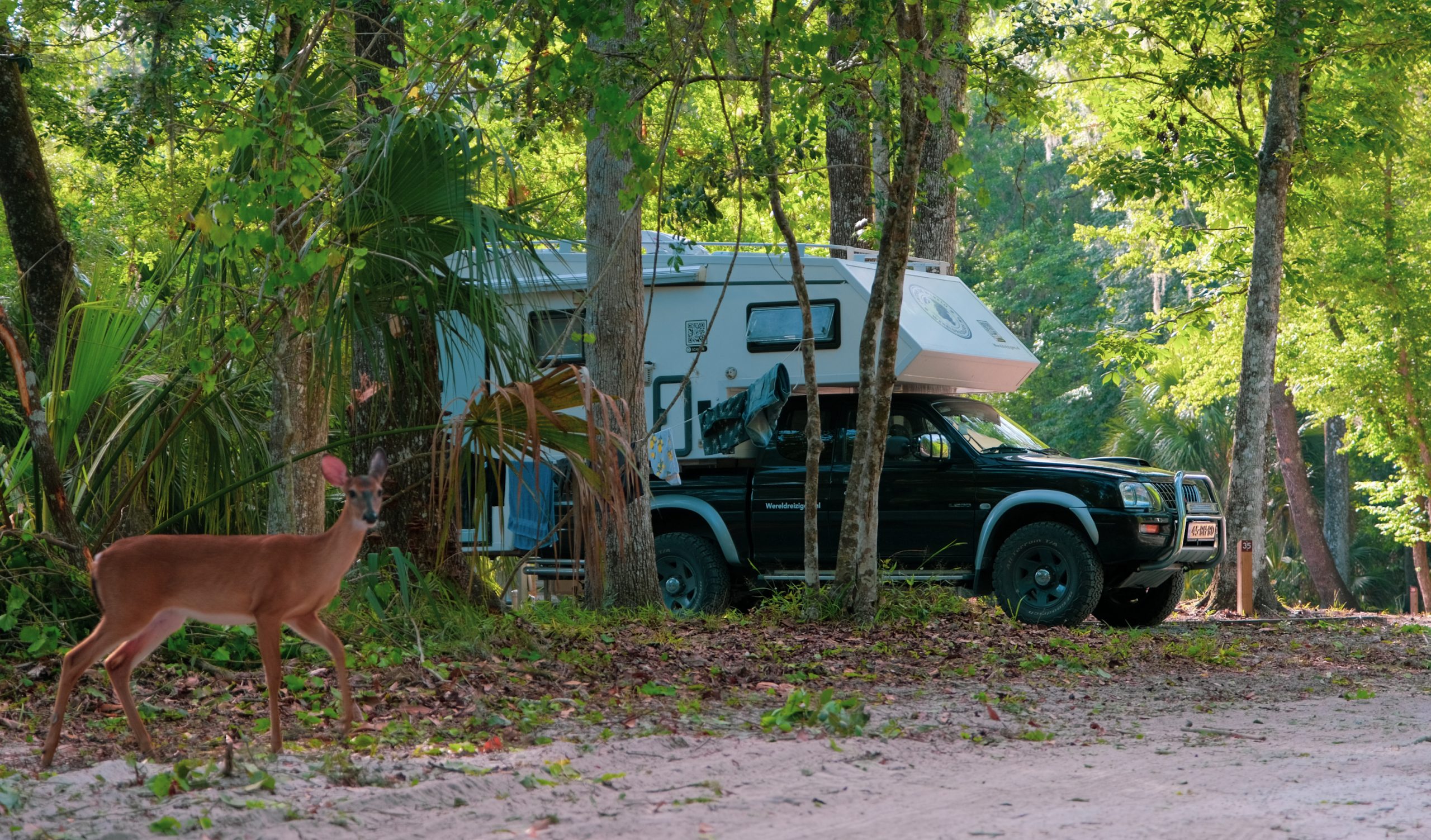 Onze kampeerplek bij Manatee Springs in Florida