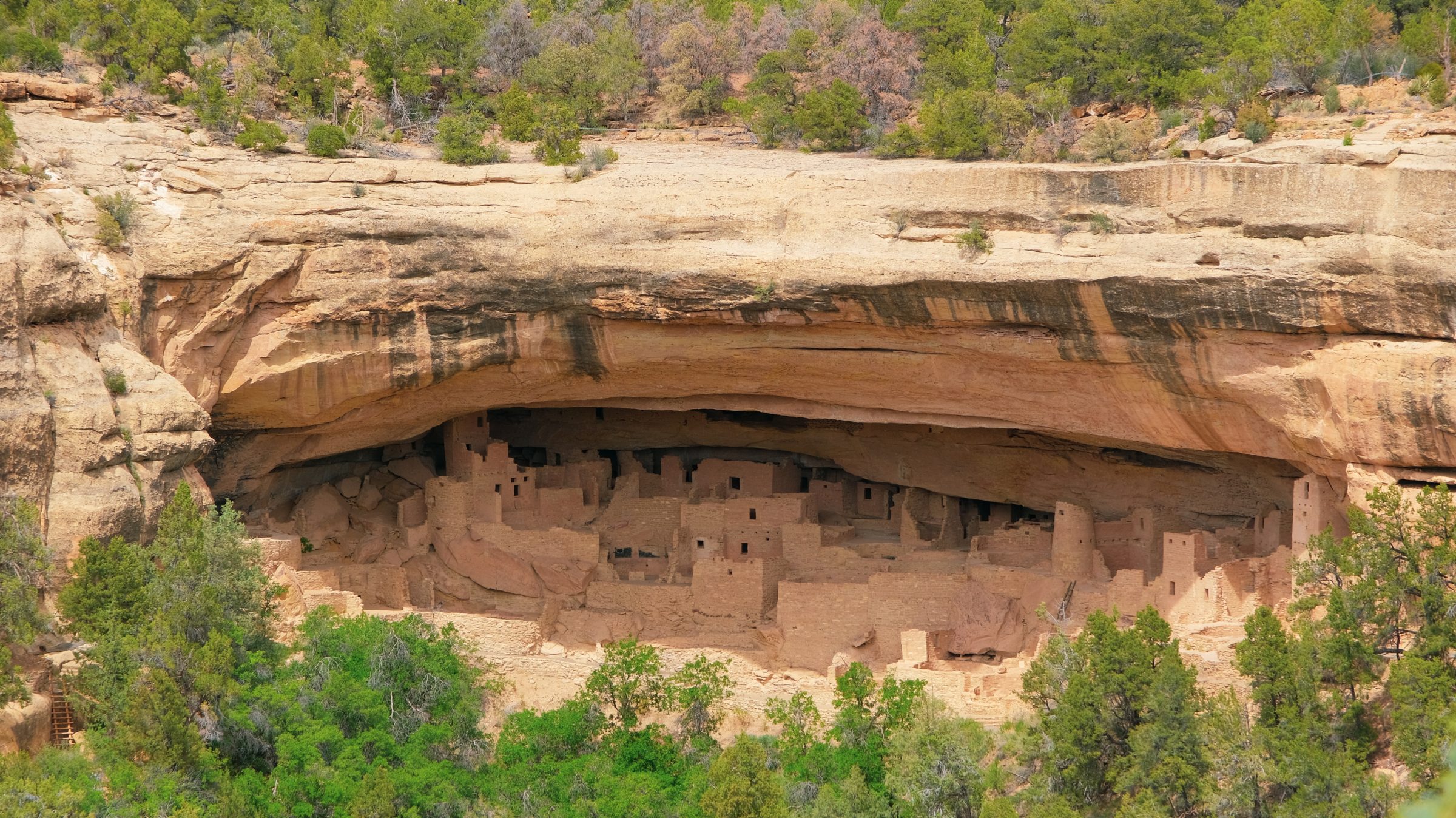 Cliff Palace | Mesa Verde National Park