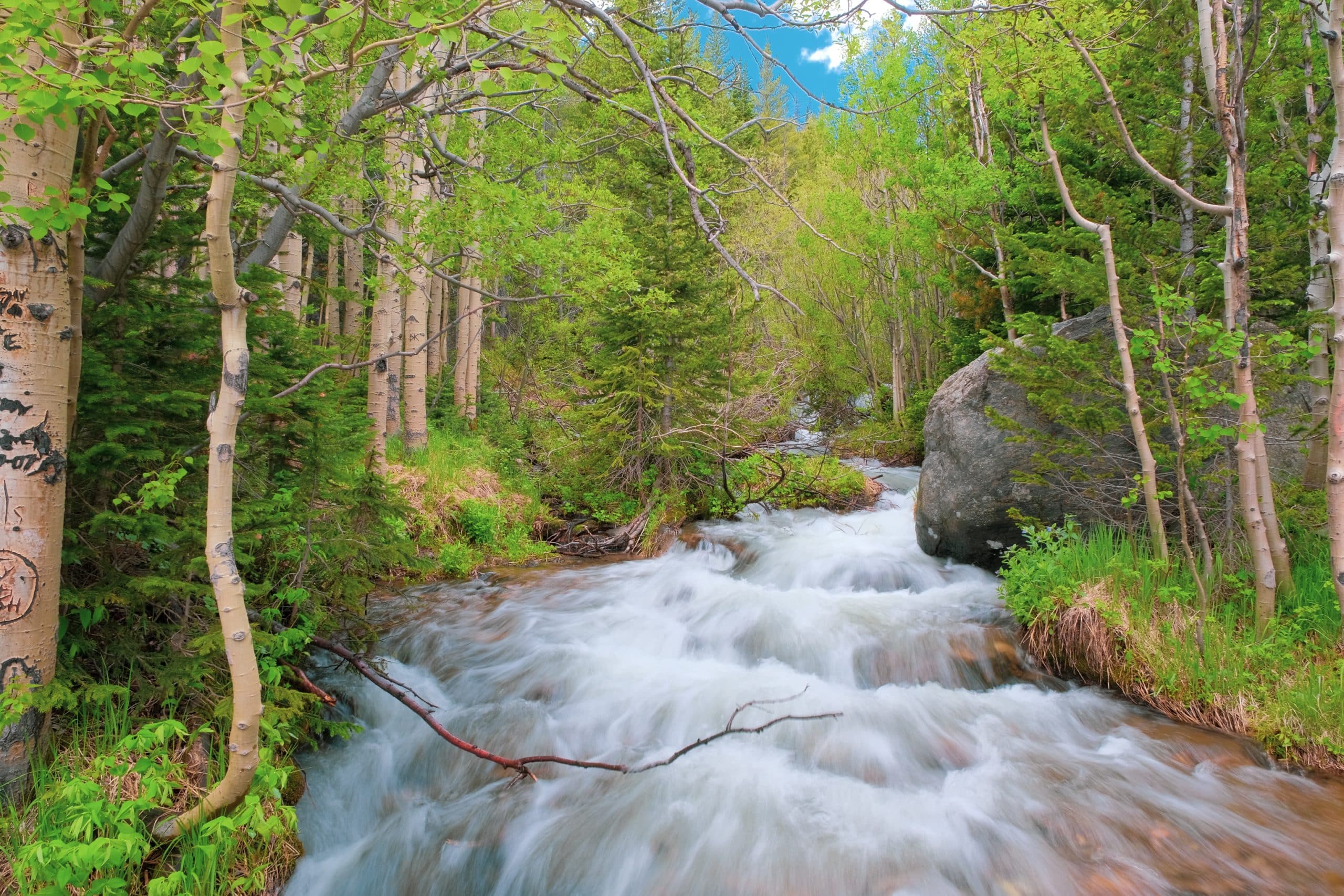 Floderna mullrar här nere | Rocky Mountain National Park