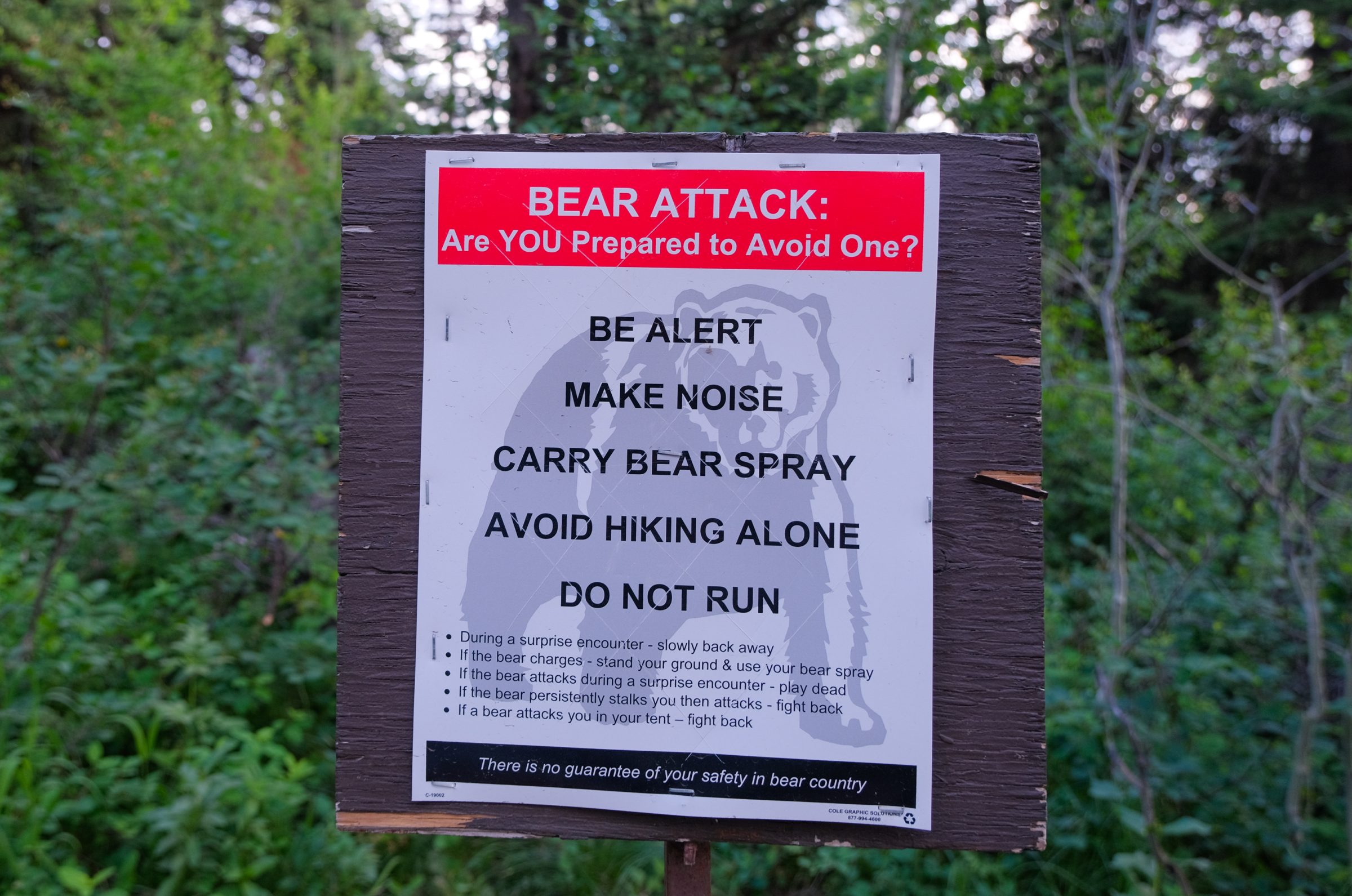 Bear Attack / Bear Spray informatie aan het begin van de trail in Grand Teton