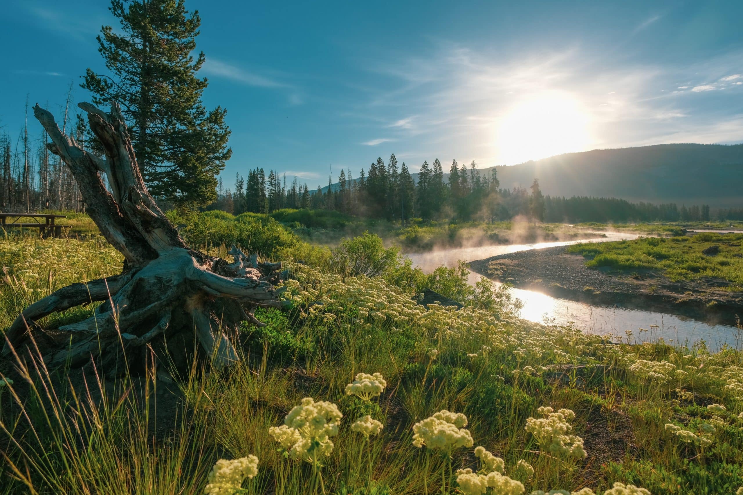 Snake River with morning dew at 06:00 in the morning