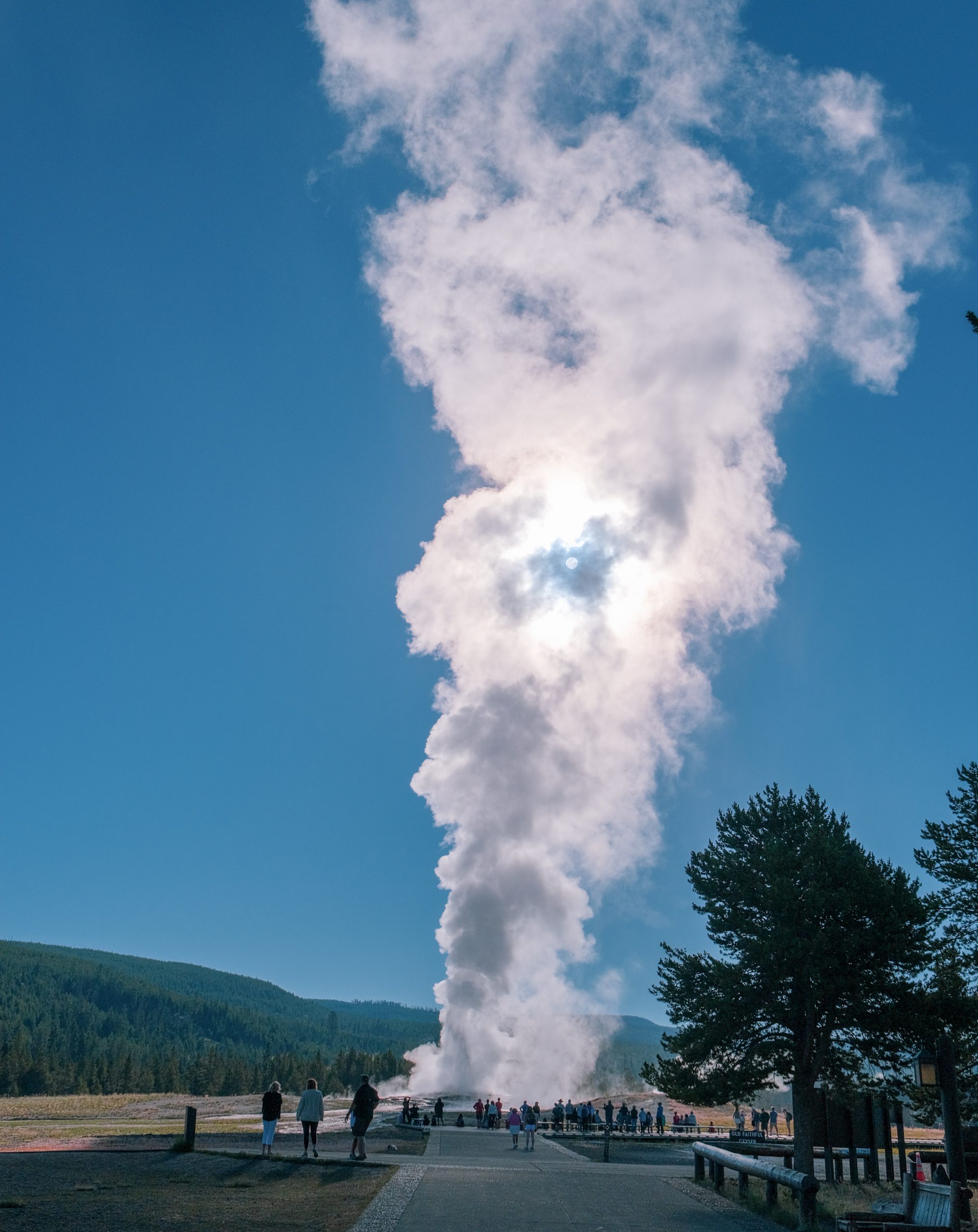 Yellowstone National Park | Old Faithful and the public