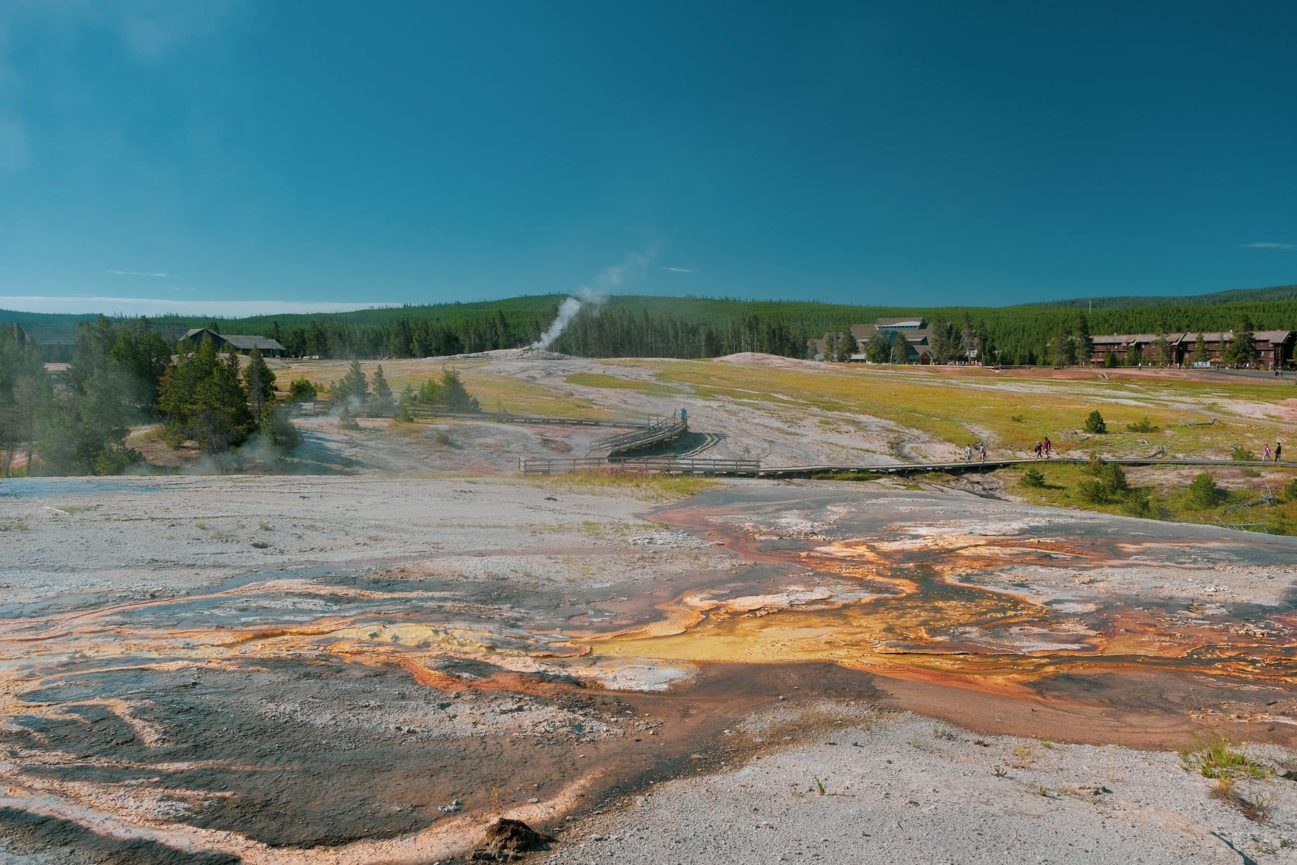 Tips for Yellowstone National Park | Upper Geyser Basin