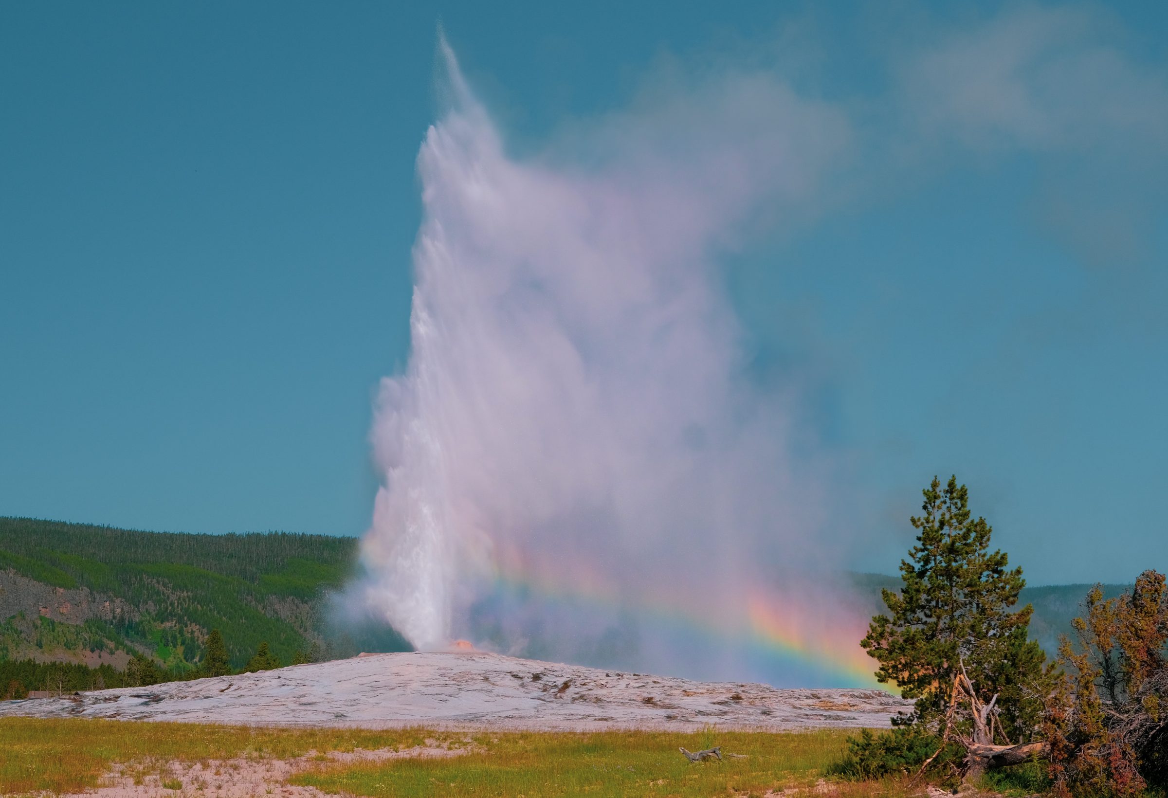 Old Faithful en een regenboog in Yellowstone National Park