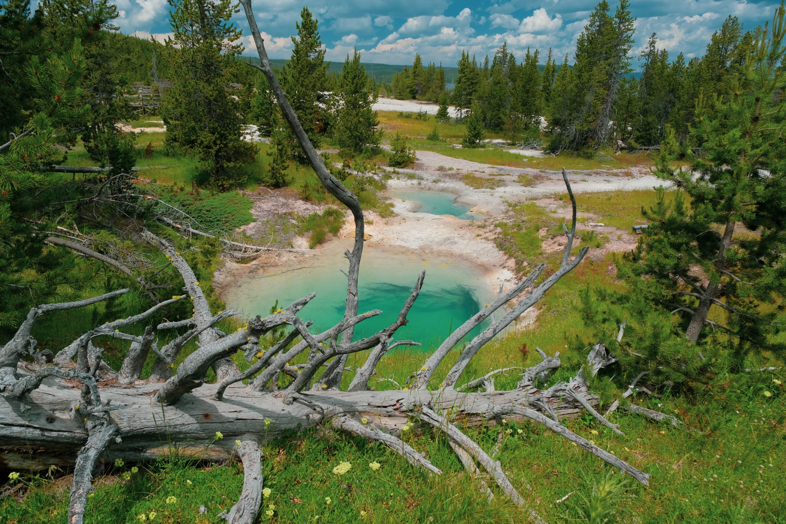 Yellowstone-Nationalpark | Westlicher Daumen